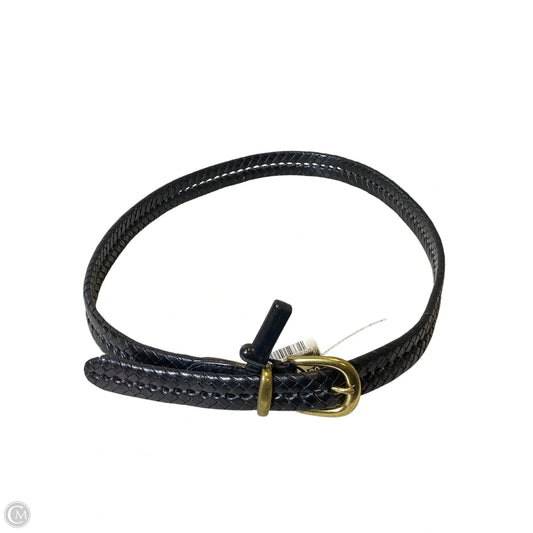 Belt Designer By Coach, Size: Large