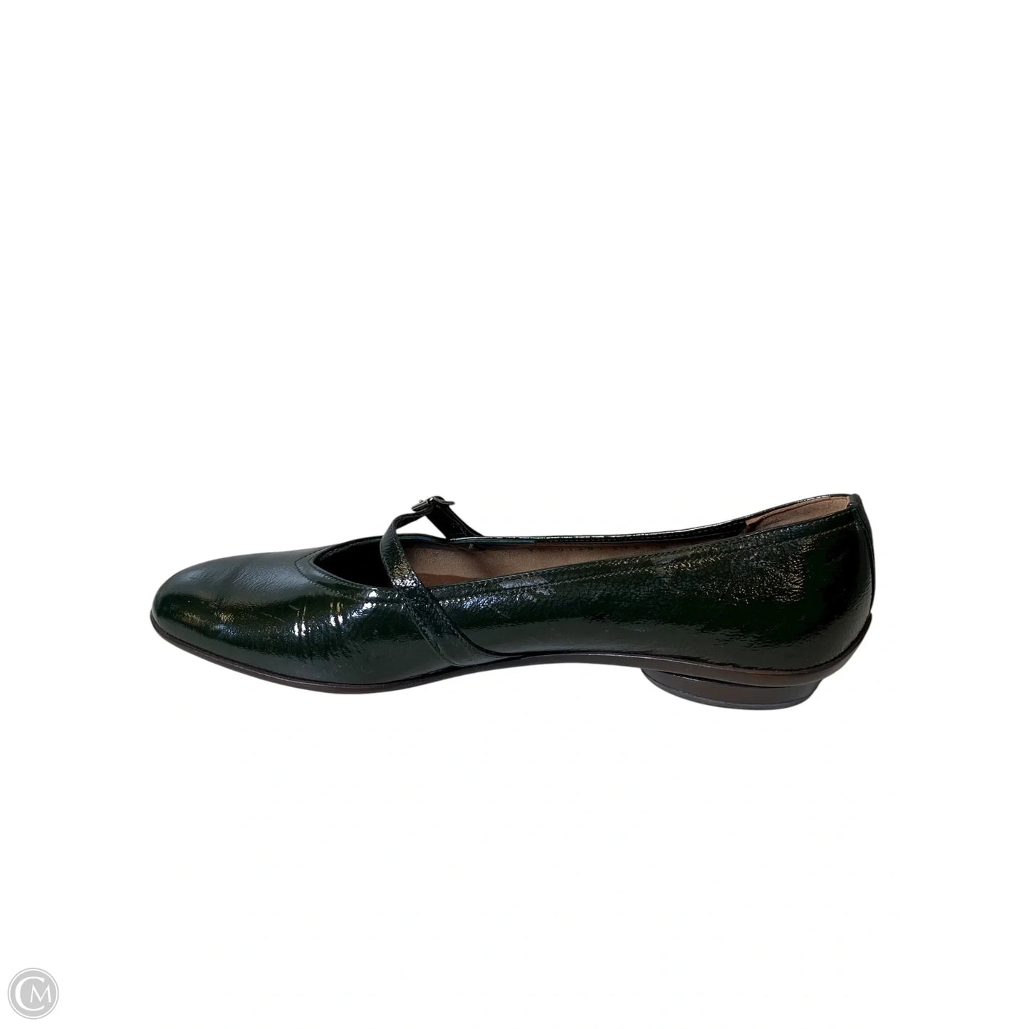 Shoes Luxury Designer By Ferragamo In Green, Size: 8