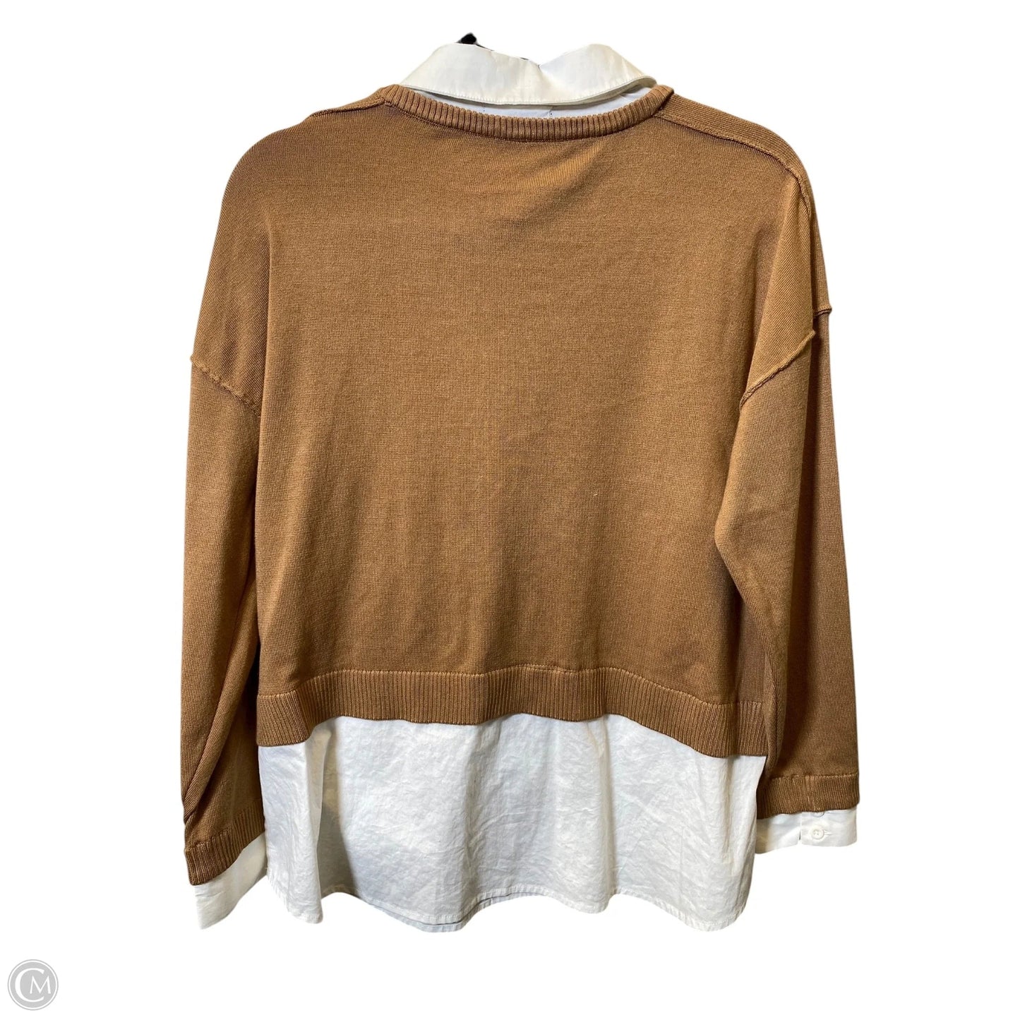 Top Long Sleeve By Adrianna Papell In Brown & White, Size: M