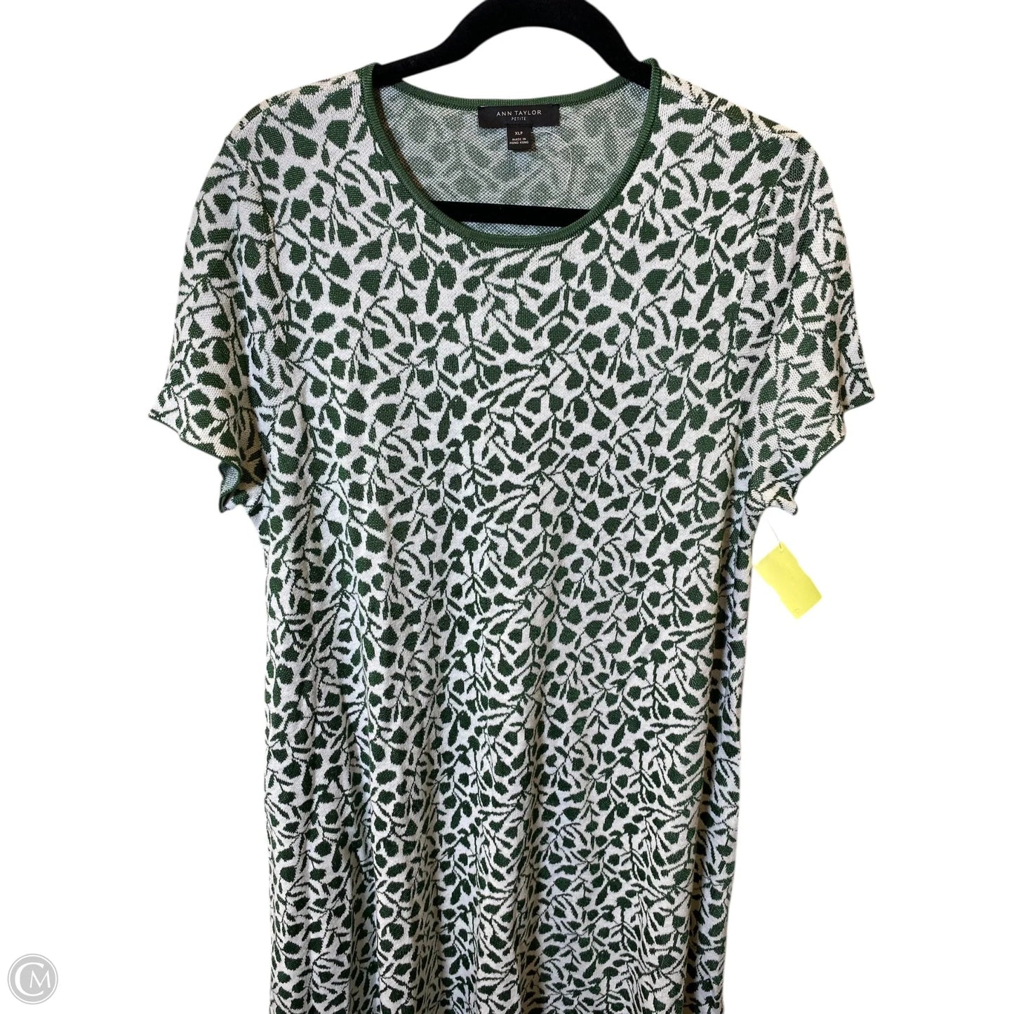 Dress Sweater By Ann Taylor In Green & White, Size: Xl