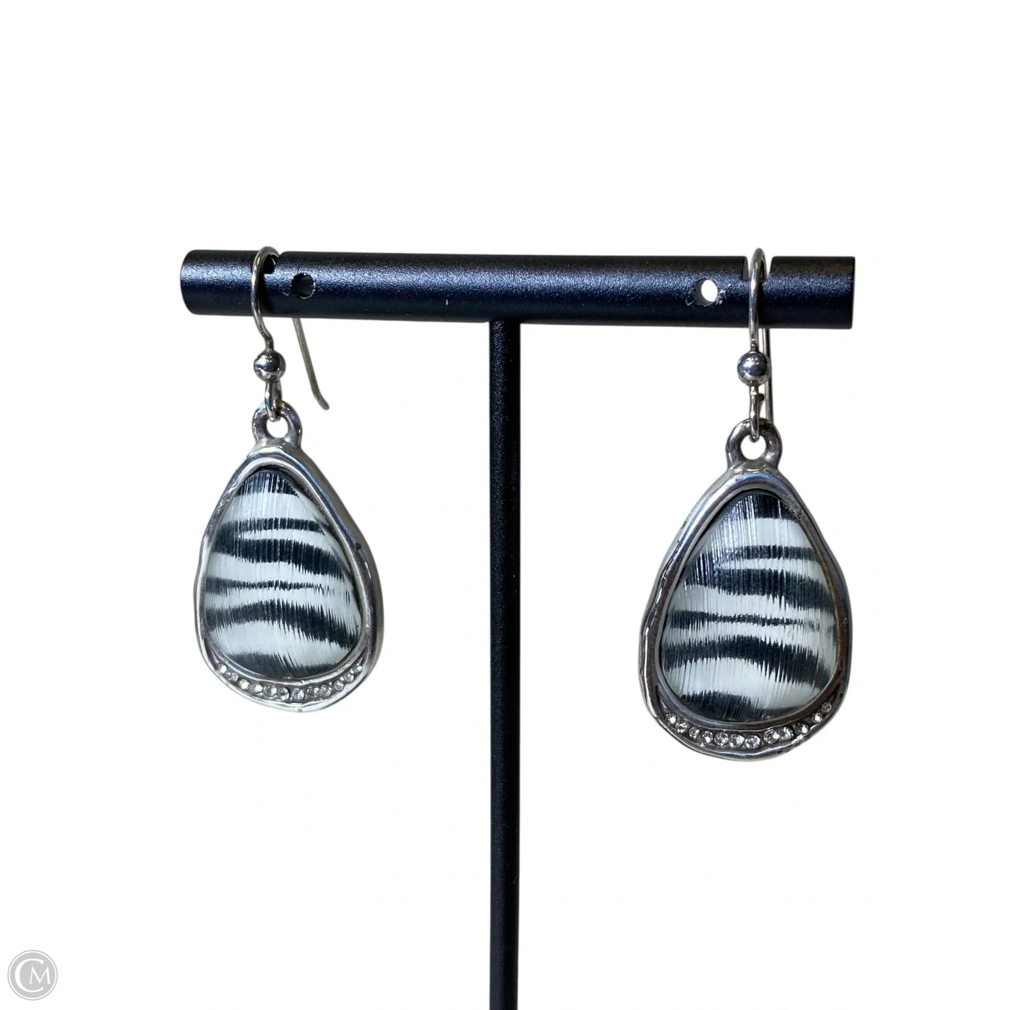 Earrings Dangle/drop By Clothes Mentor