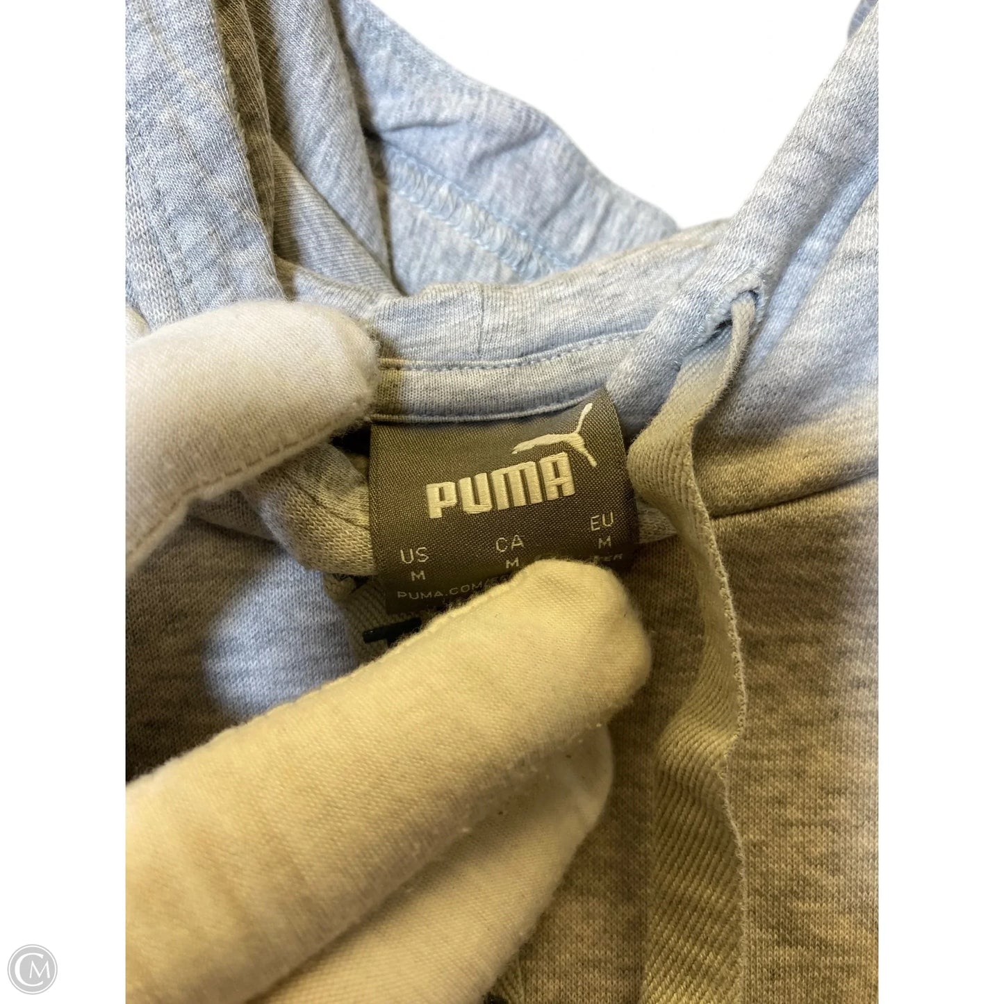 Sweatshirt Hoodie By Puma In Grey, Size: M
