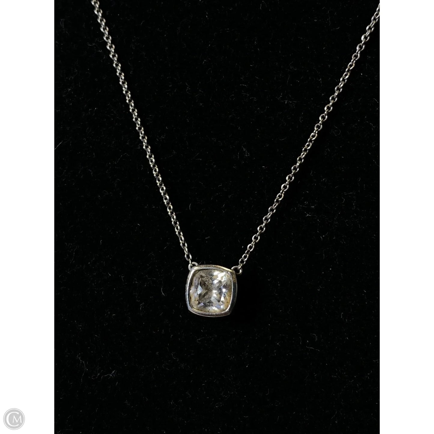 Necklace Pendant By Clothes Mentor