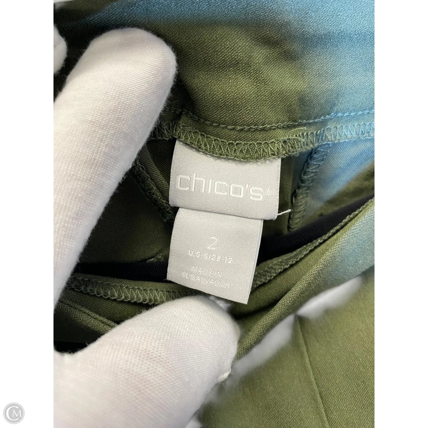 Shorts By Chicos In Green, Size: 12