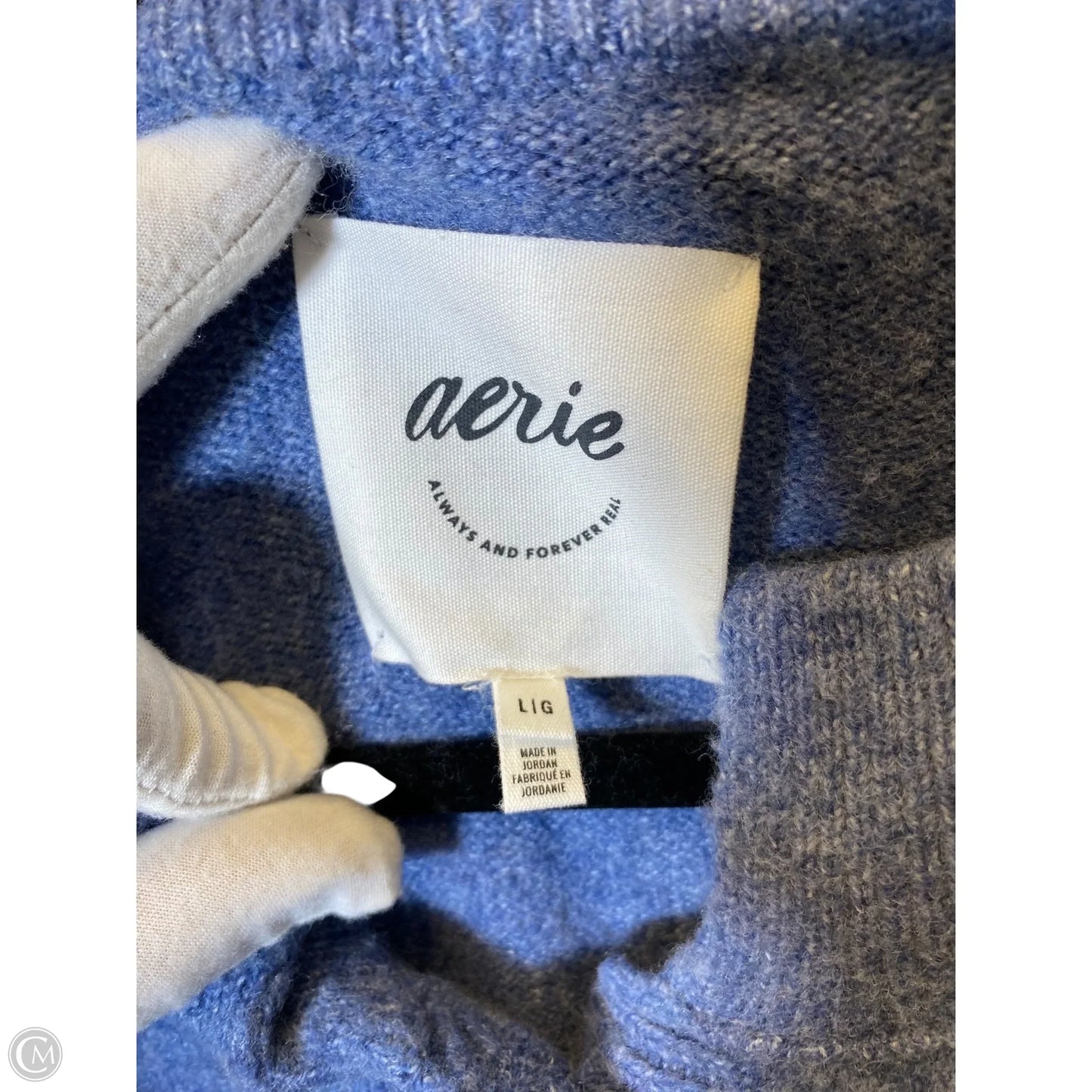 Sweater Cardigan By Aerie In Blue, Size: L