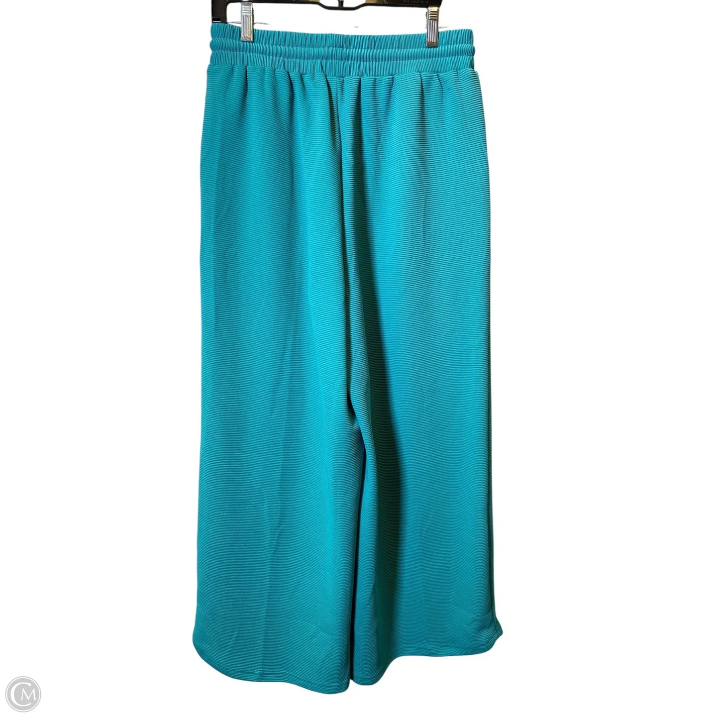 Pants Set 2pc By Clothes Mentor In Teal, Size: M