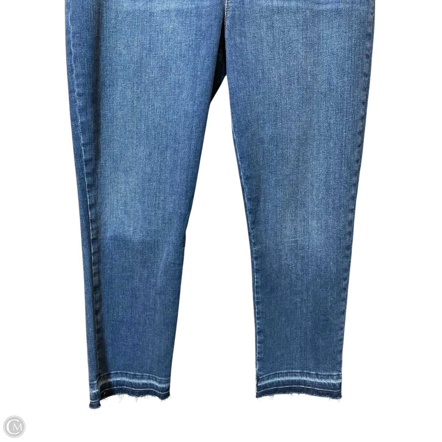 Jeans Skinny By Lysse In Blue Denim, Size: Xl