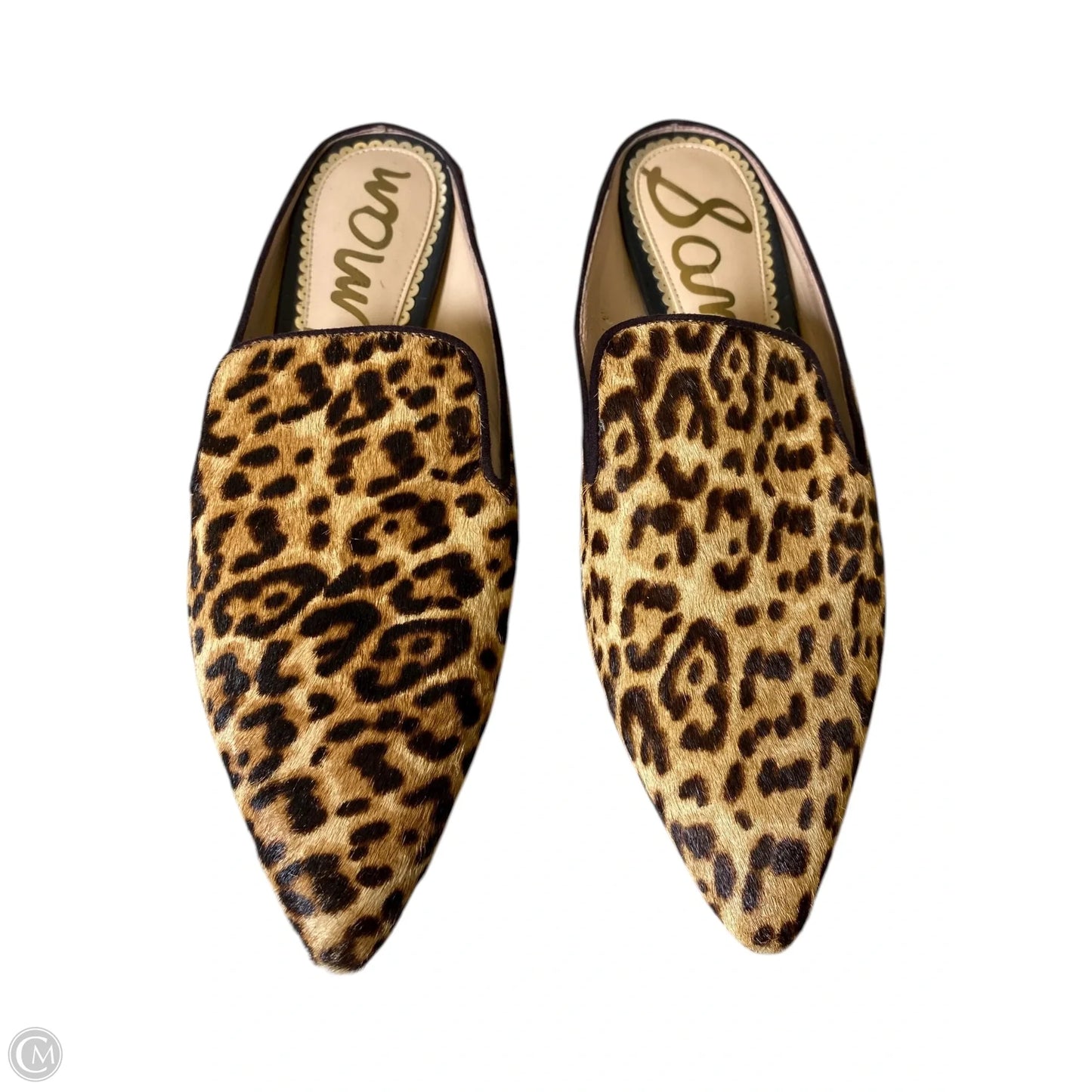 Shoes Flats By Sam Edelman In Animal Print, Size: 7.5