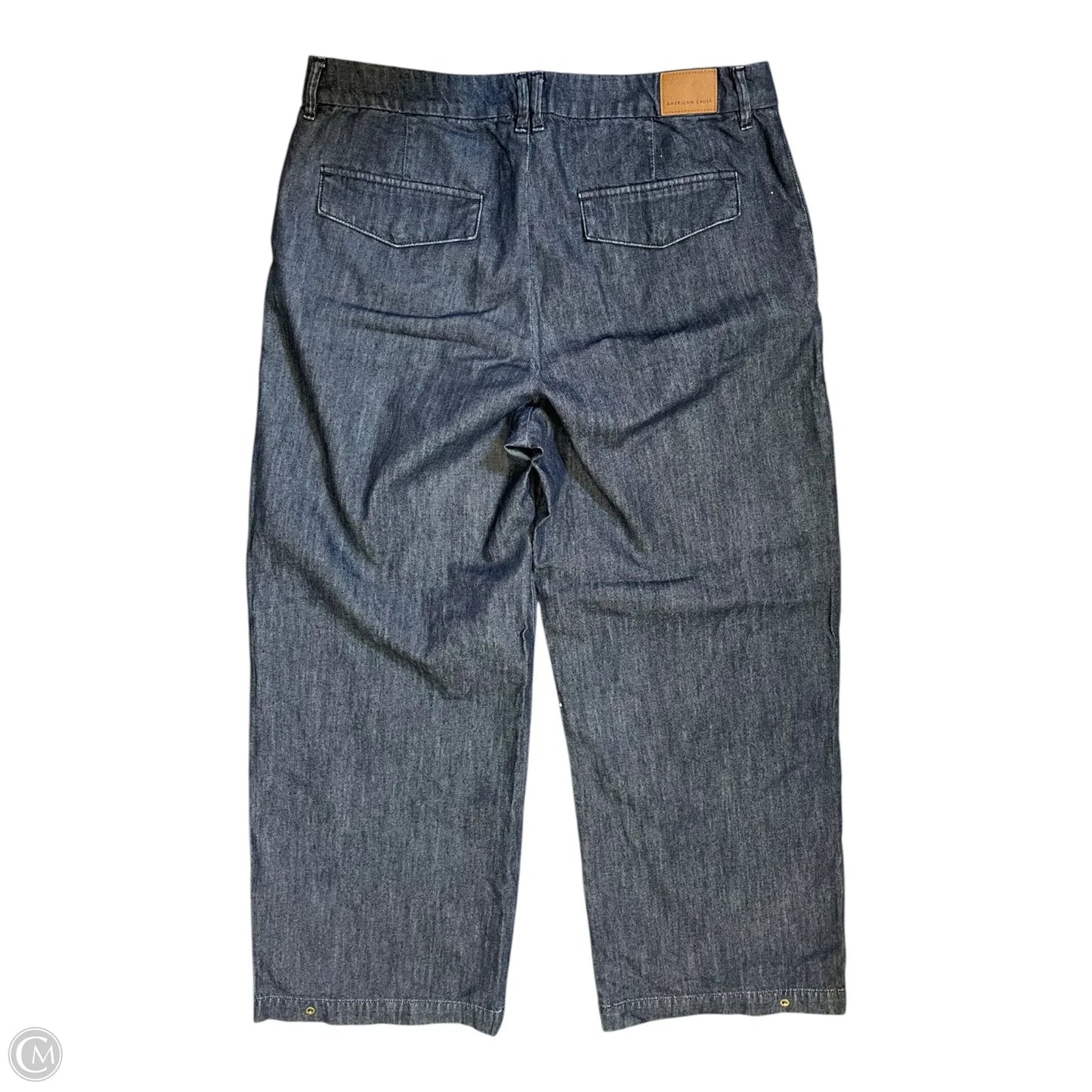 Pants Other By American Eagle In Blue, Size: 12