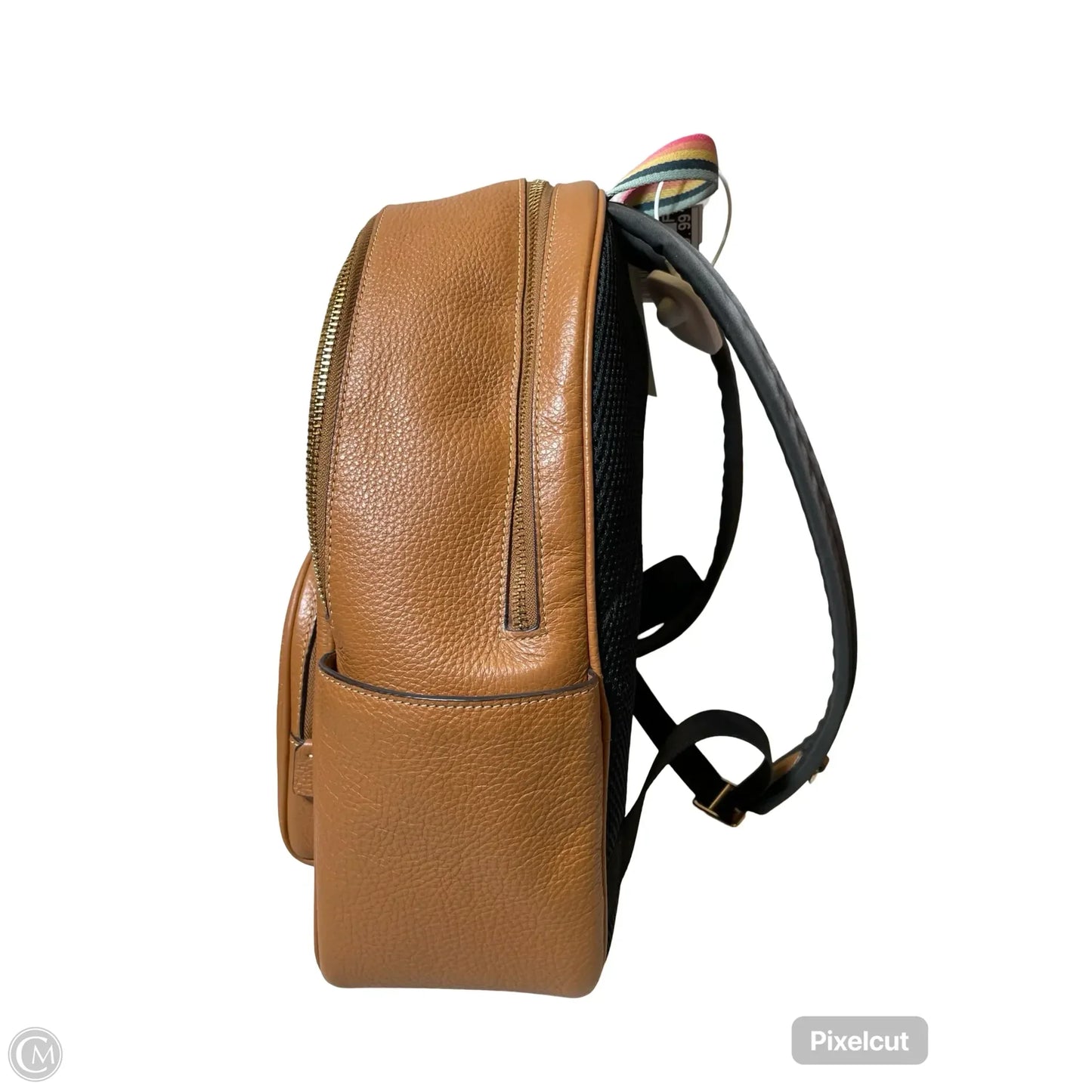 Backpack Designer By Coach, Size: Large
