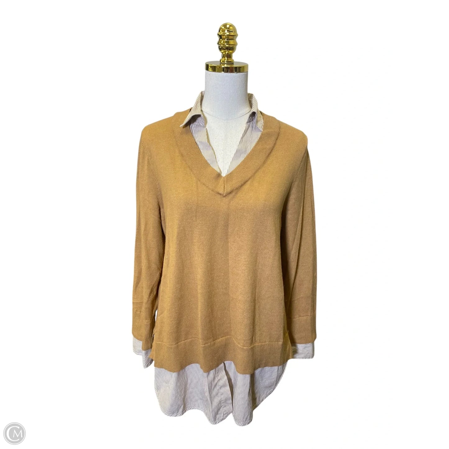 Top Long Sleeve By Chicos In Brown, Size: L