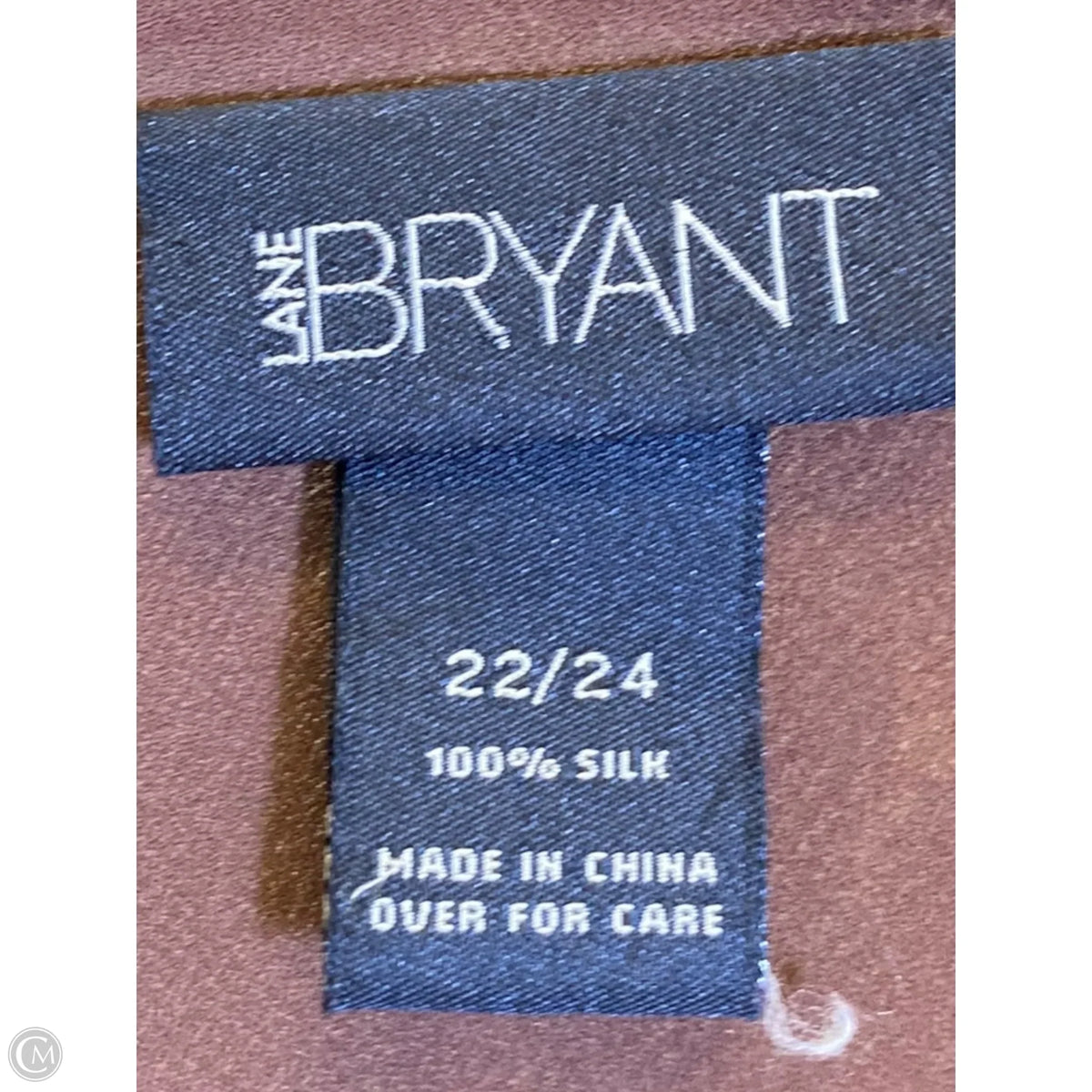 Top Long Sleeve By Lane Bryant In Brown, Size: 3x