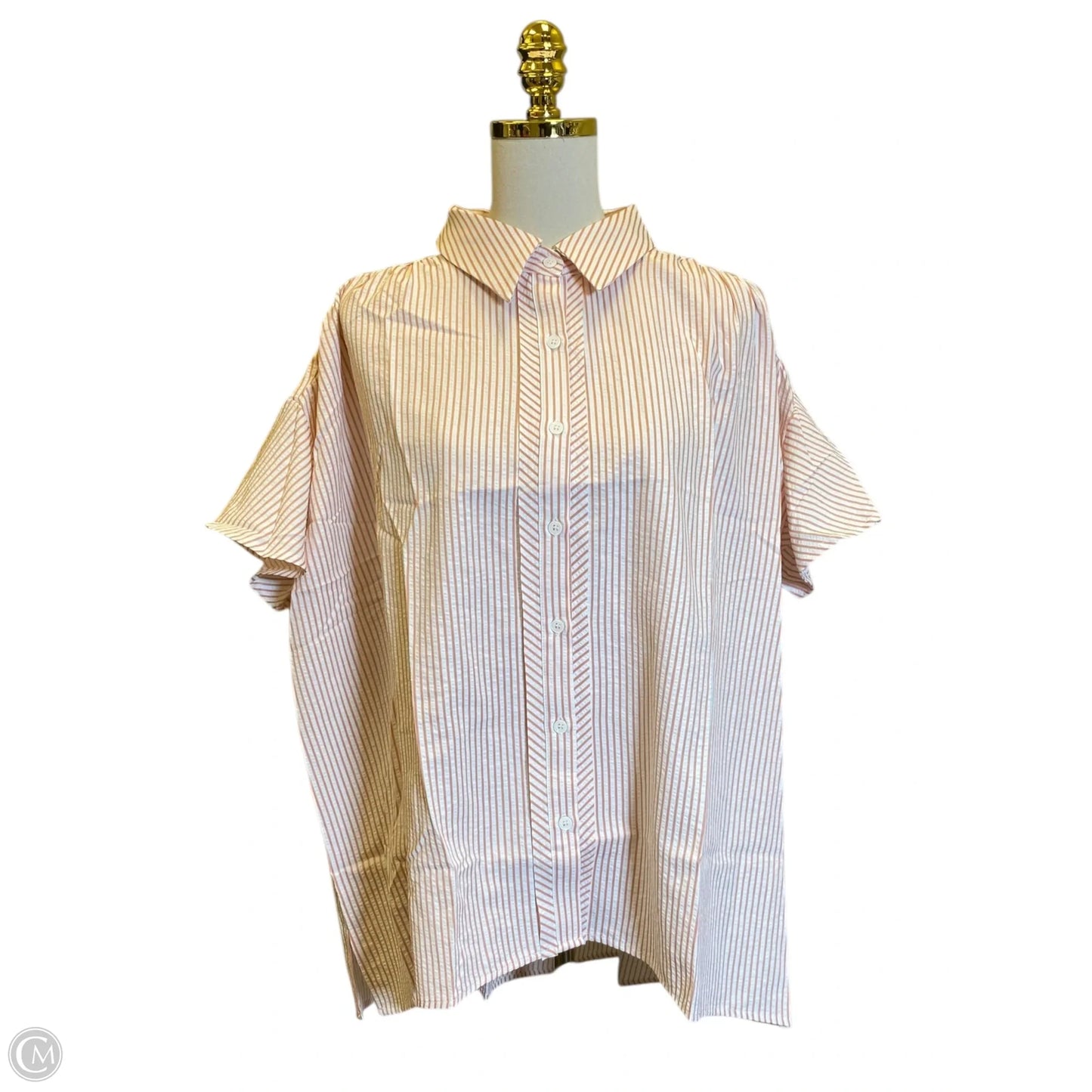 Top Short Sleeve By Doe & Rae In Striped Pattern, Size: L
