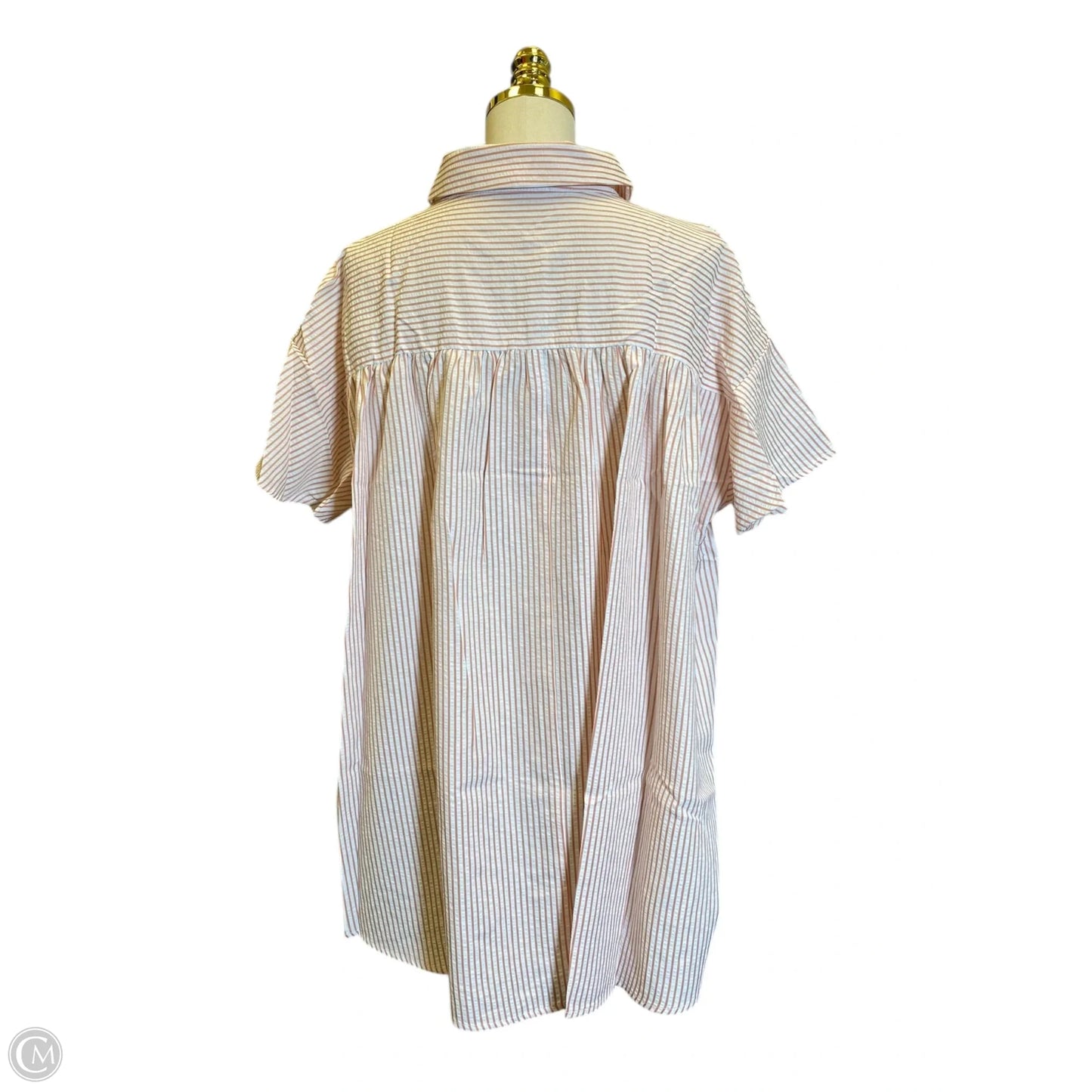 Top Short Sleeve By Doe & Rae In Striped Pattern, Size: L