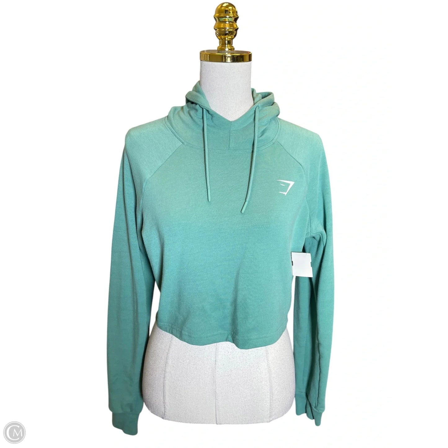 Sweatshirt Hoodie By Gym Shark In Green, Size: M