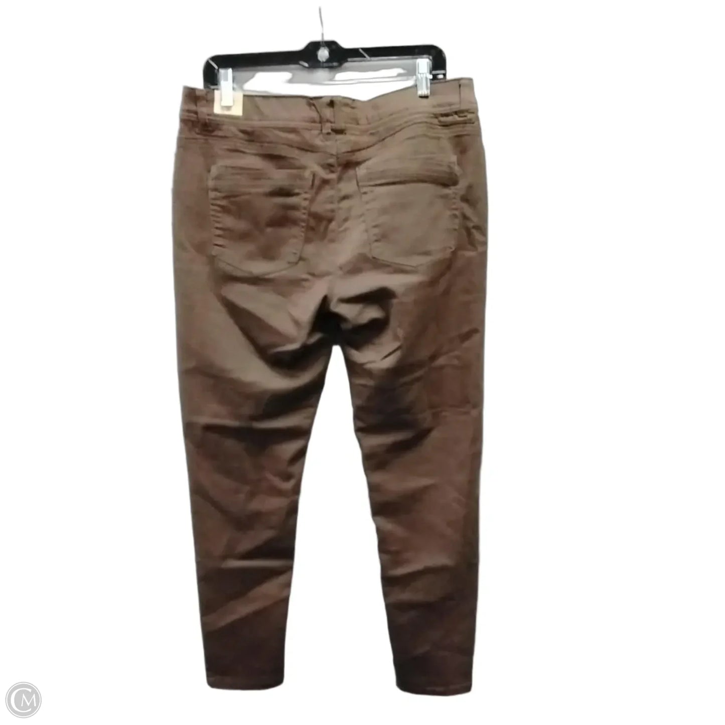Pants Cargo & Utility By Democracy In Brown, Size: 12