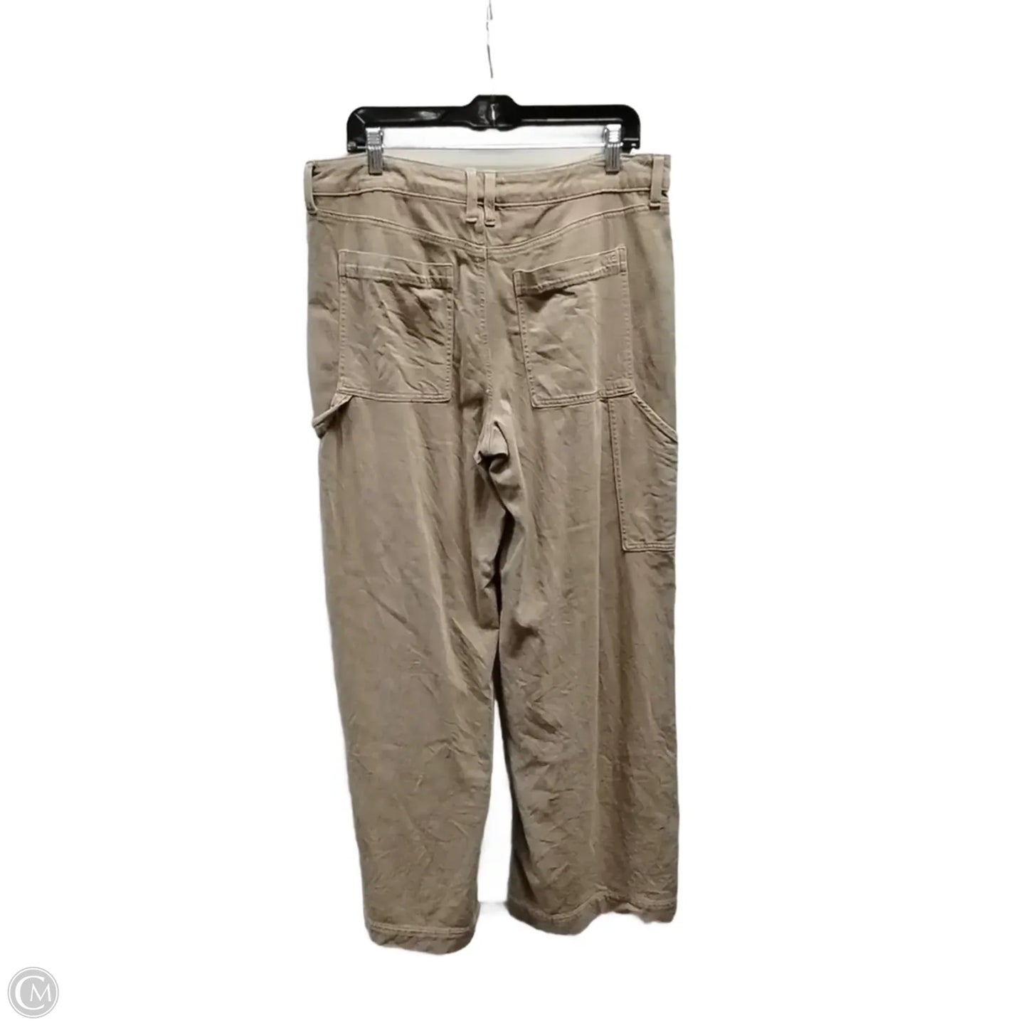 Pants Cargo & Utility By American Eagle In Brown, Size: 12