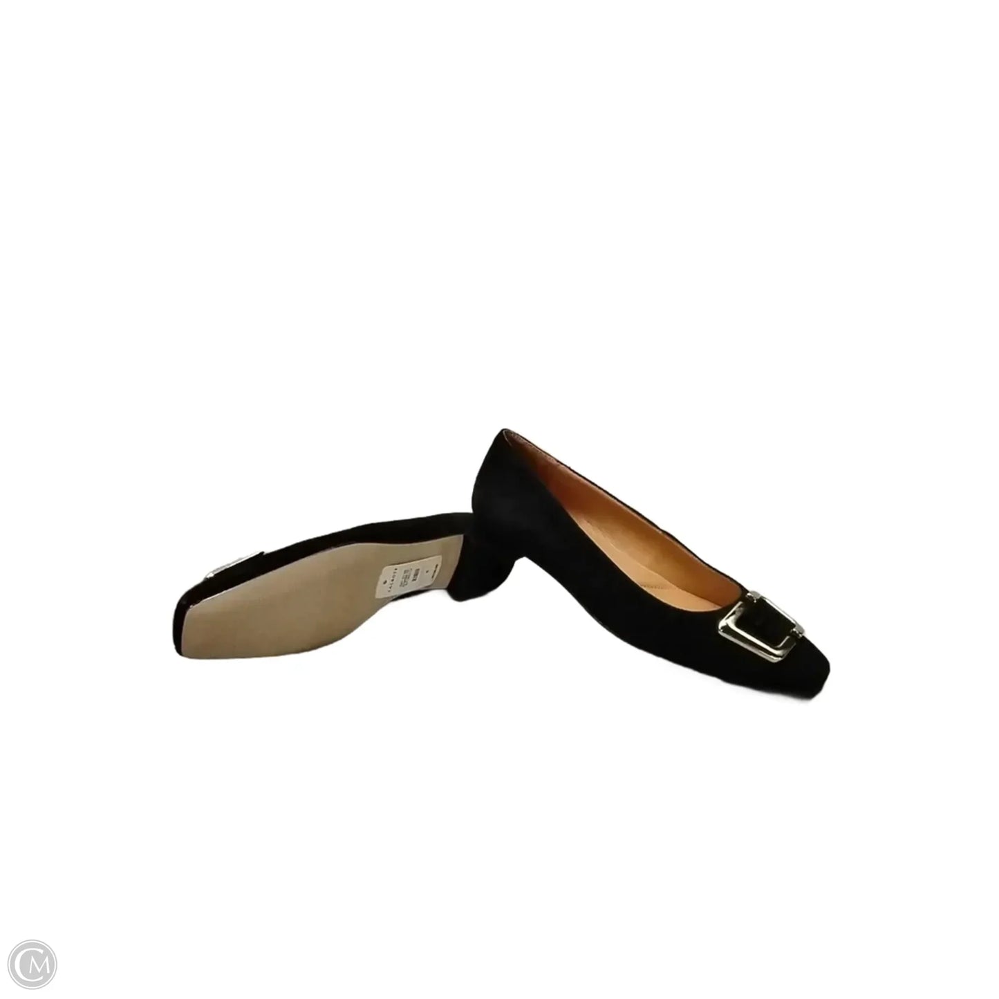 Blouse Short Sleeve By Adrianna Papell In Brown, Size: S