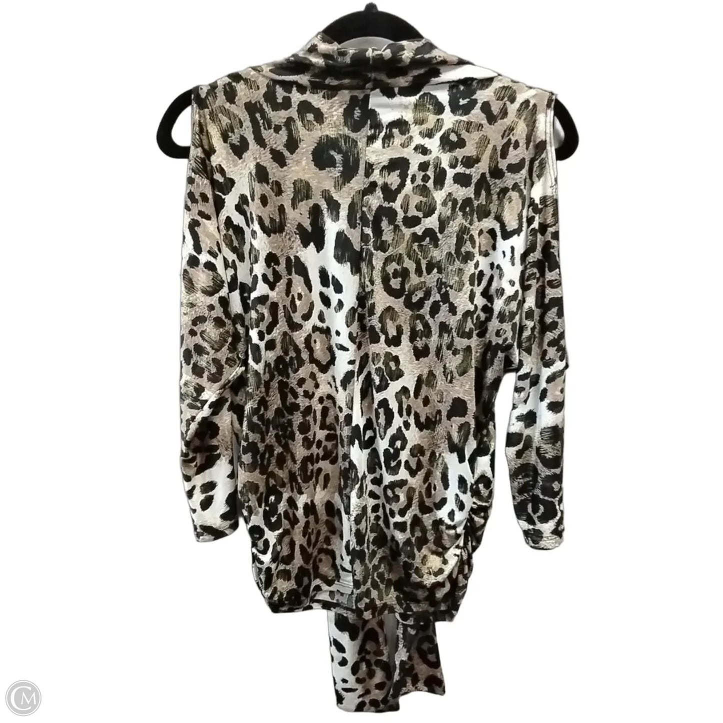 Blouse Long Sleeve By Isabella Rodriguez In Animal Print, Size: S