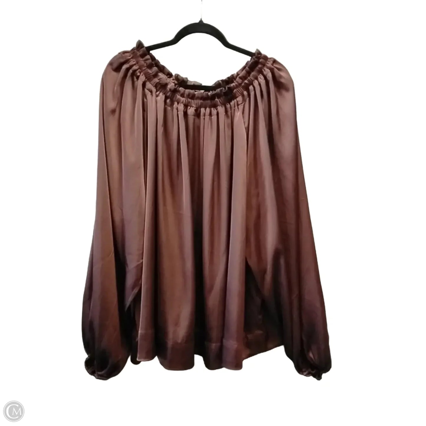 Blouse Long Sleeve By H&m In Brown, Size: Xxl