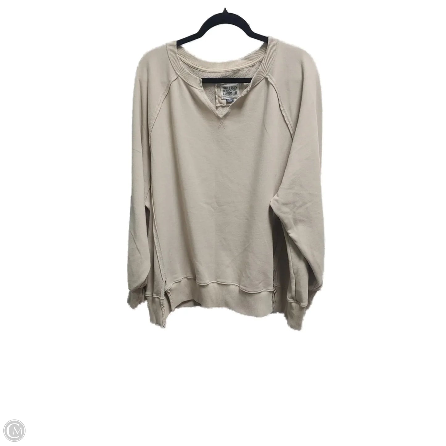 Sweatshirt Crewneck By American Eagle In Tan, Size: Xl