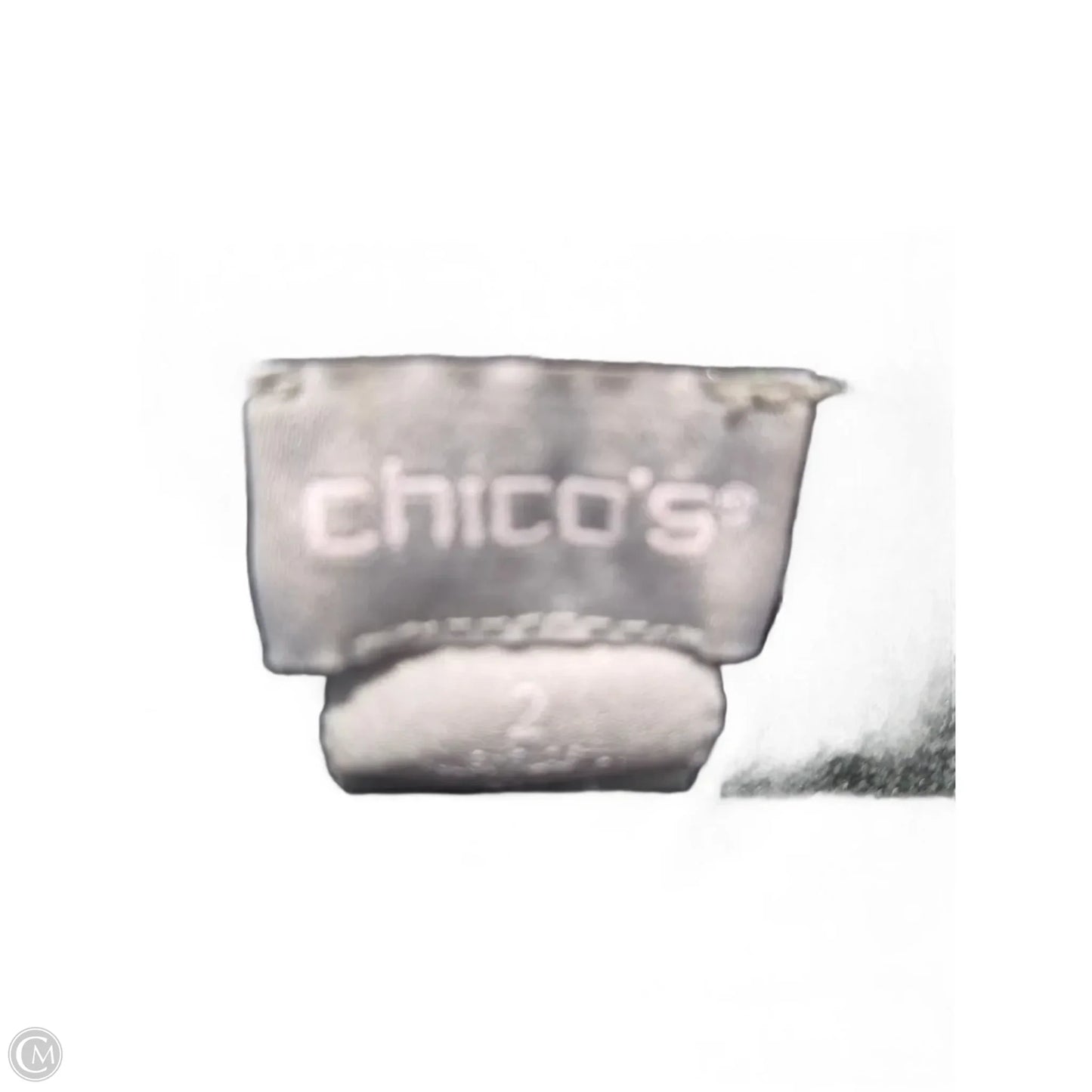 Top Long Sleeve By Chicos In Grey, Size: L