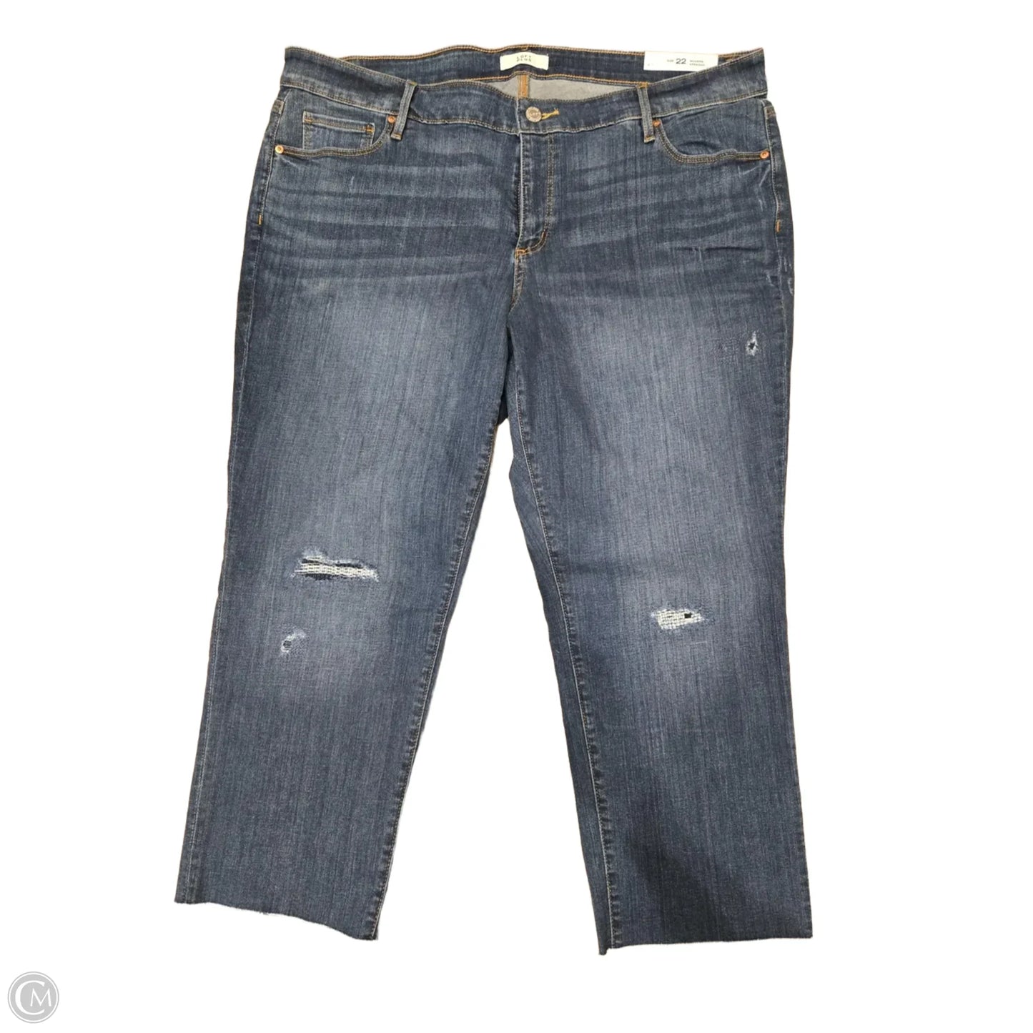 Jeans Cropped By Loft In Blue Denim, Size: 22