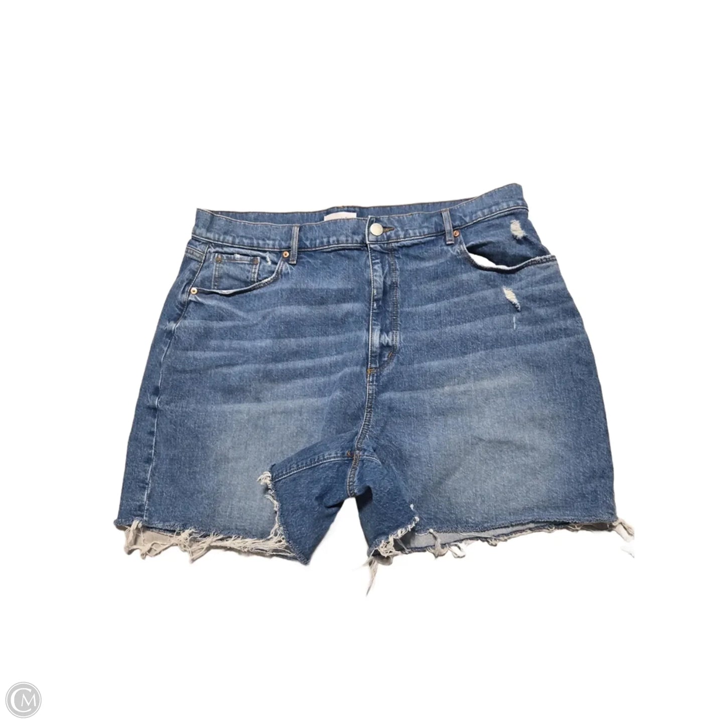 Shorts By Loft In Blue Denim, Size: 18
