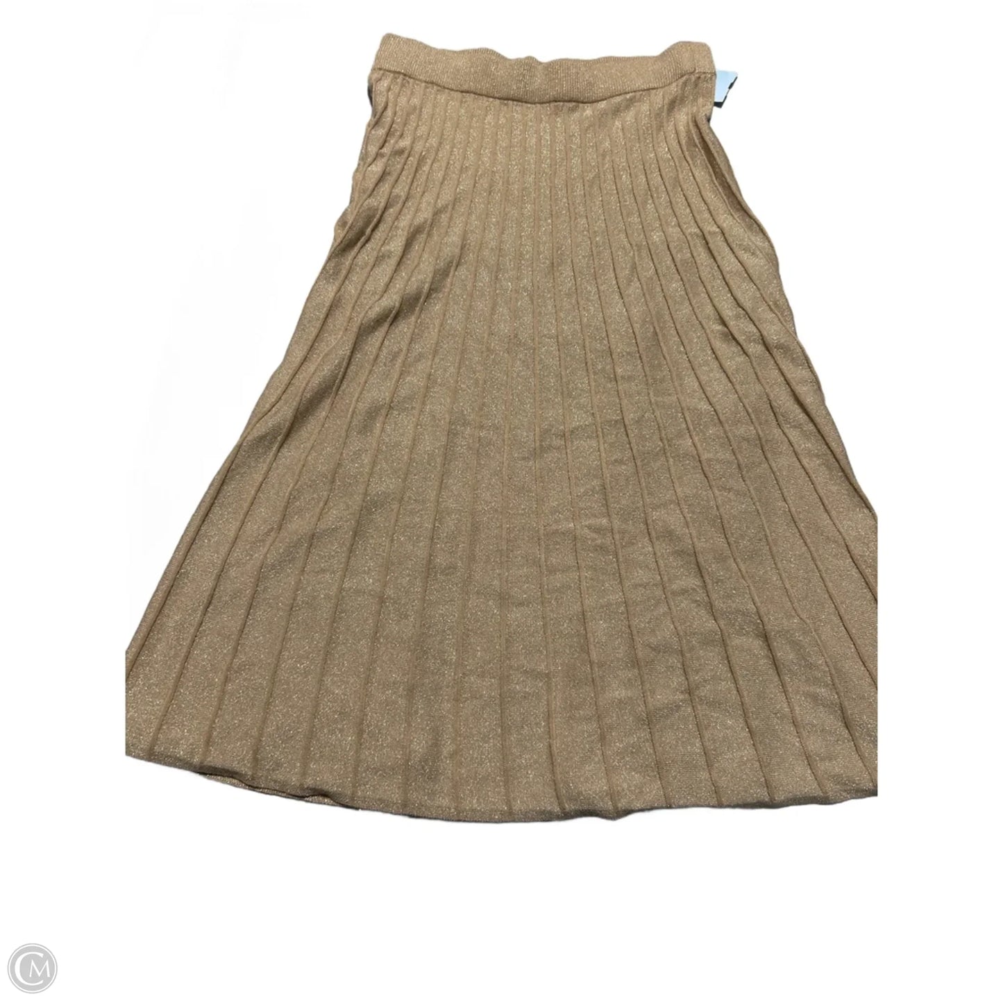 Skirt Maxi By Ann Taylor In Gold, Size: L