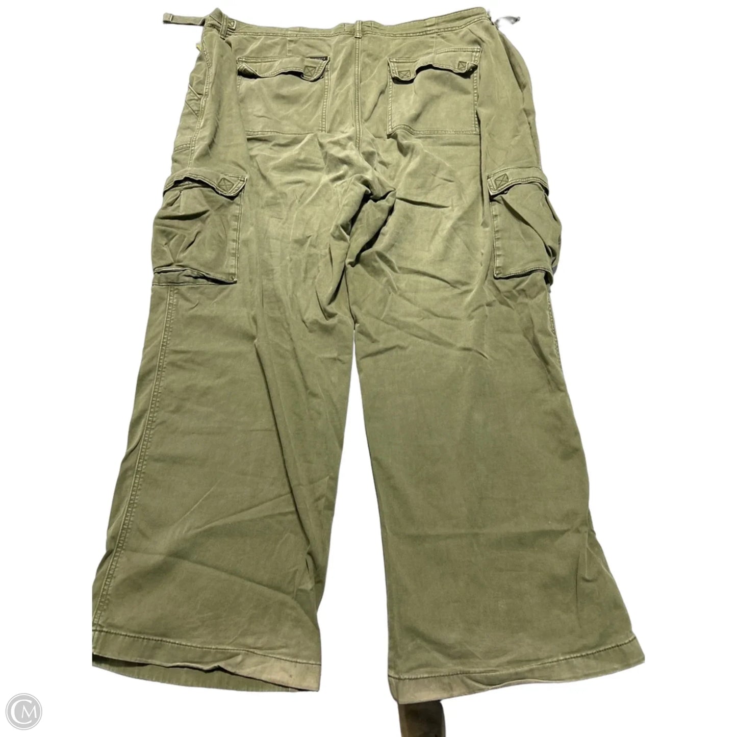 Pants Cargo & Utility By Sanctuary In Green, Size: 3x