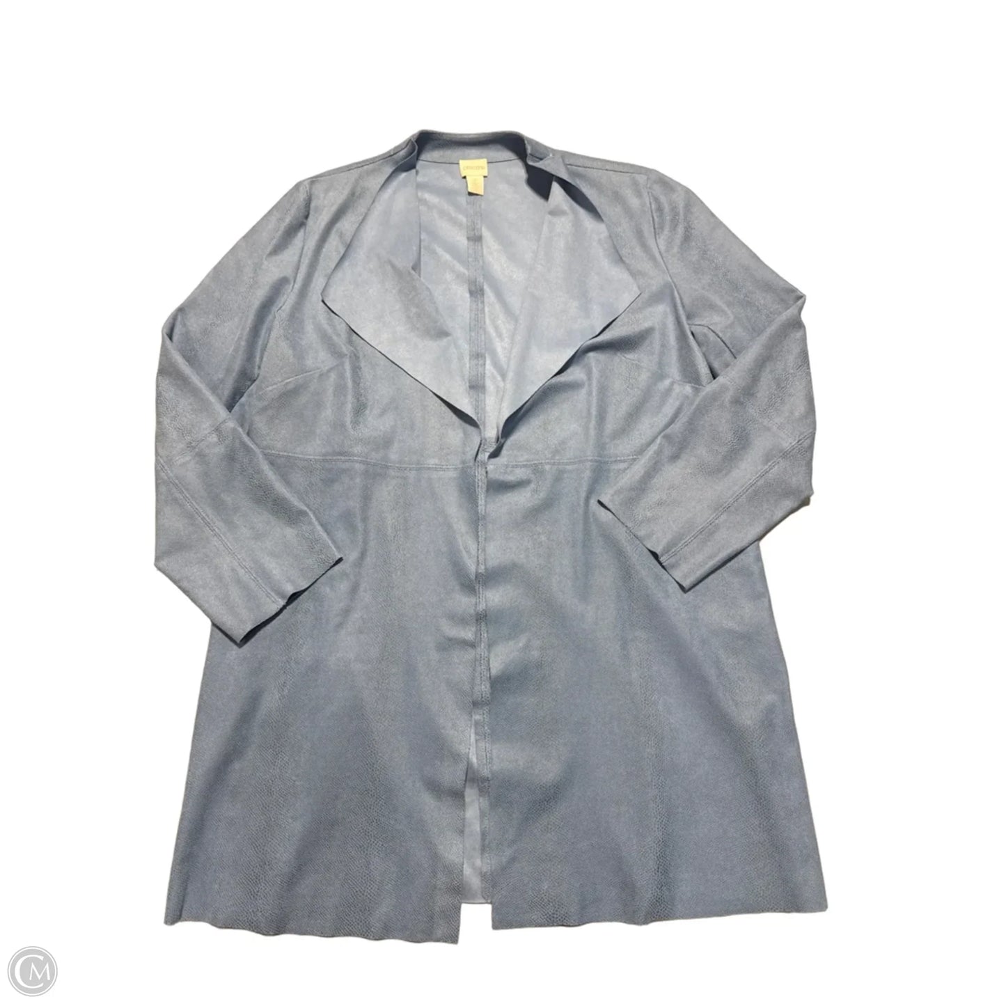 Jacket Other By Chicos In Blue, Size: L
