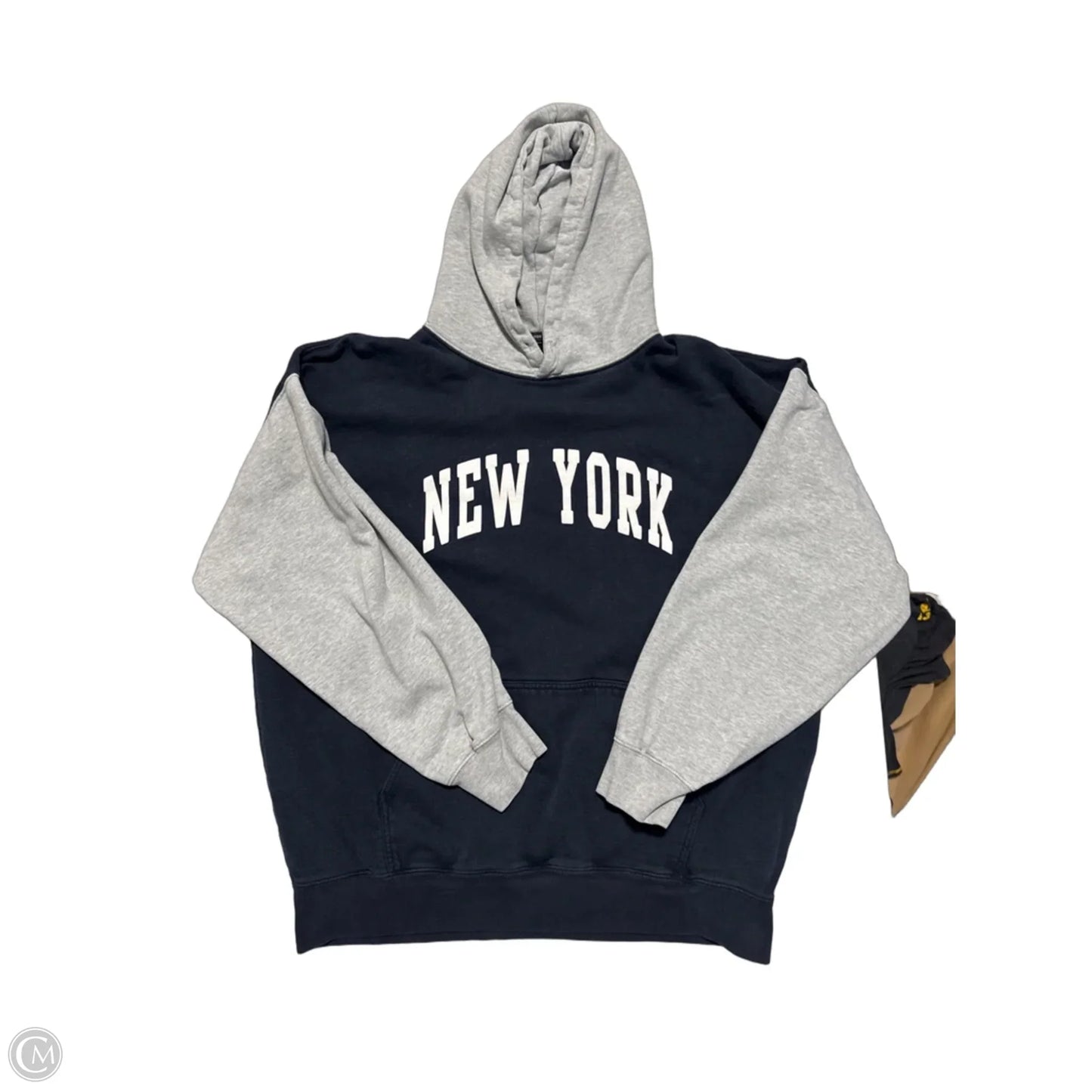 Sweatshirt Hoodie By Brandy Melville In Blue & Grey, Size: Xl