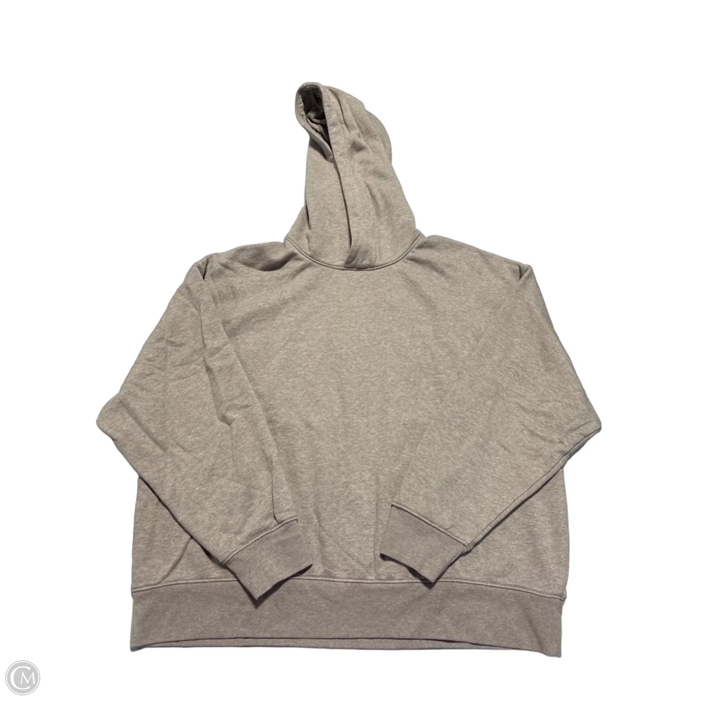 Sweatshirt Hoodie By American Eagle In Tan, Size: L
