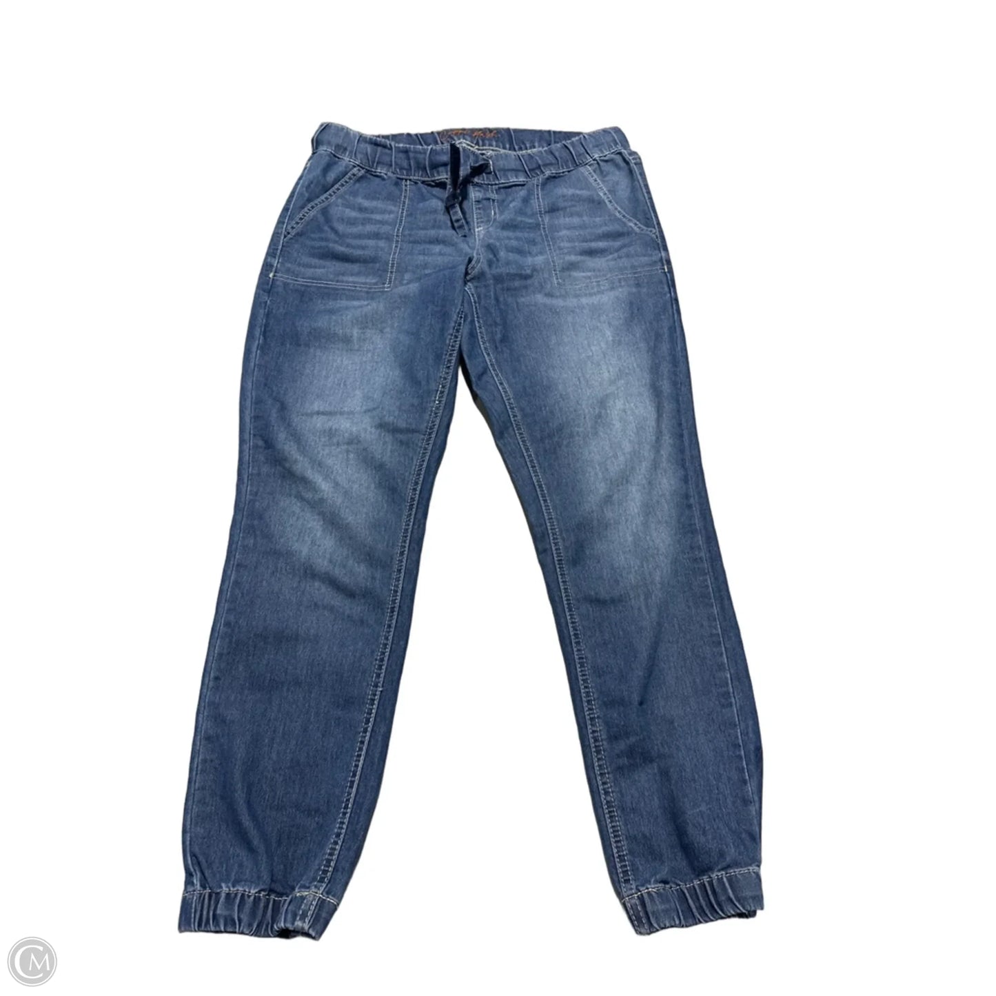 Pants Joggers By Cme In Blue, Size: 10