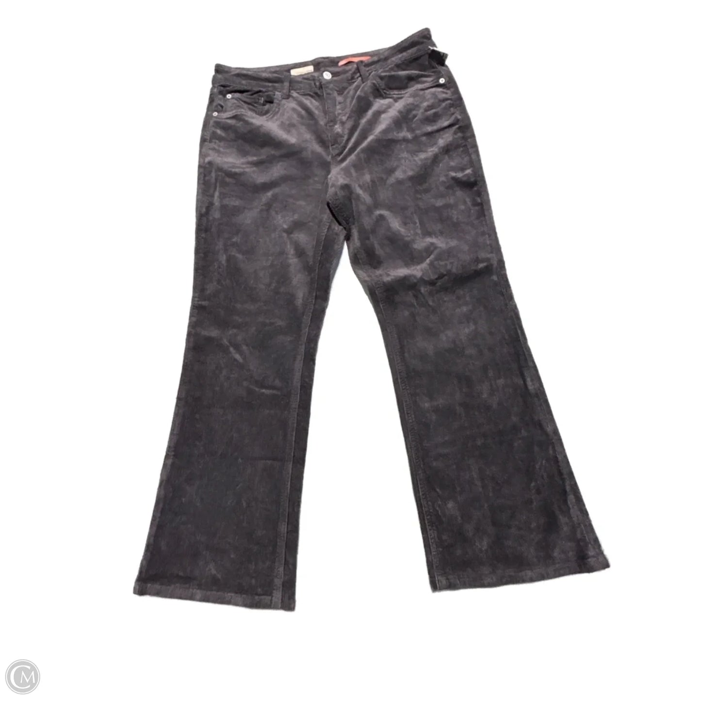 Pants Cropped By Pilcro In Black, Size: 14