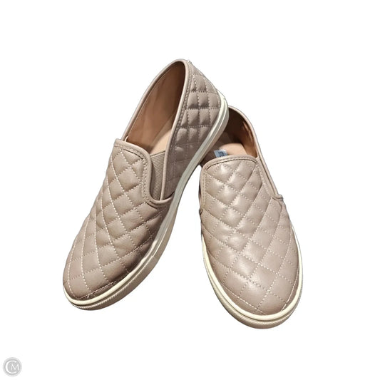 Shoes Flats By Steve Madden In Brown, Size: 9