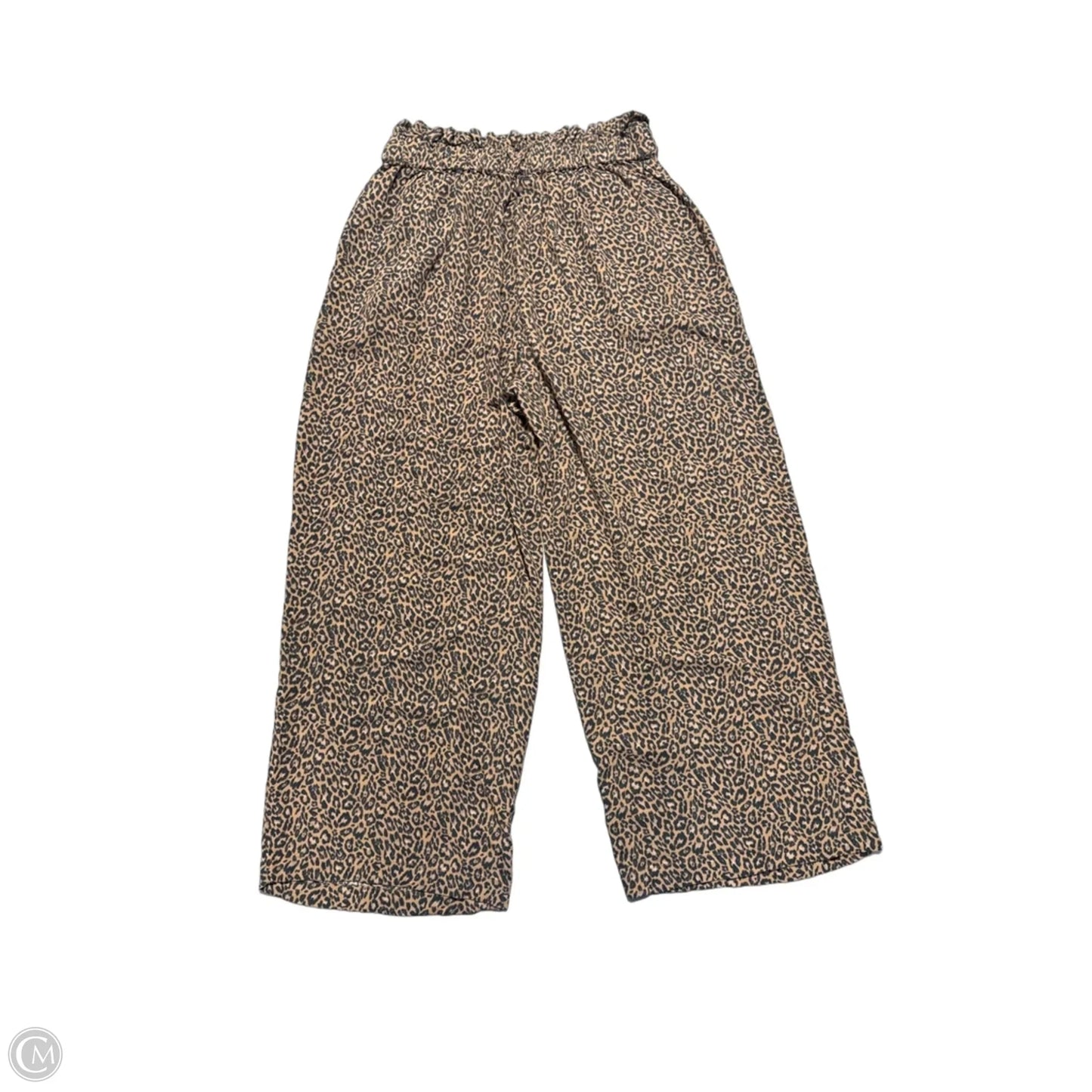 Pants Other By American Eagle In Animal Print, Size: M