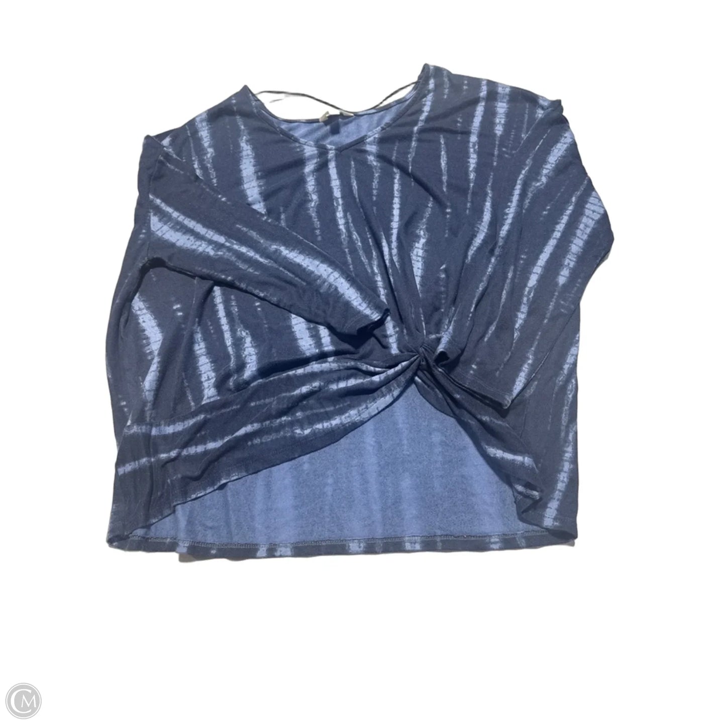 Top Long Sleeve By Terra & Sky In Blue, Size: 1x
