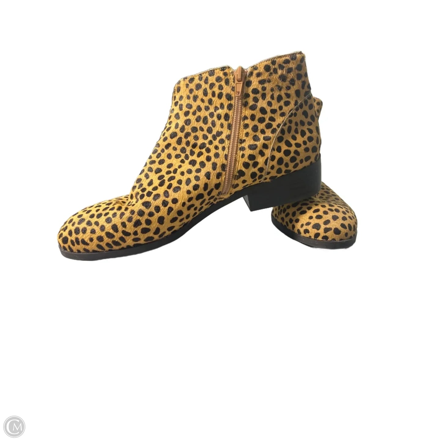 Boots Ankle Flats By Sole Society In Animal Print, Size: 10