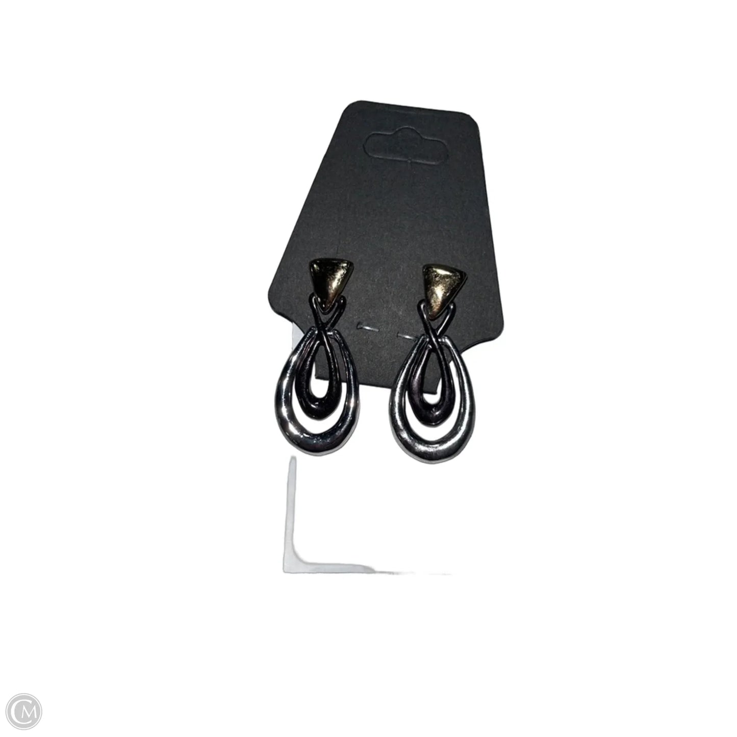Earrings Dangle/drop By Chicos