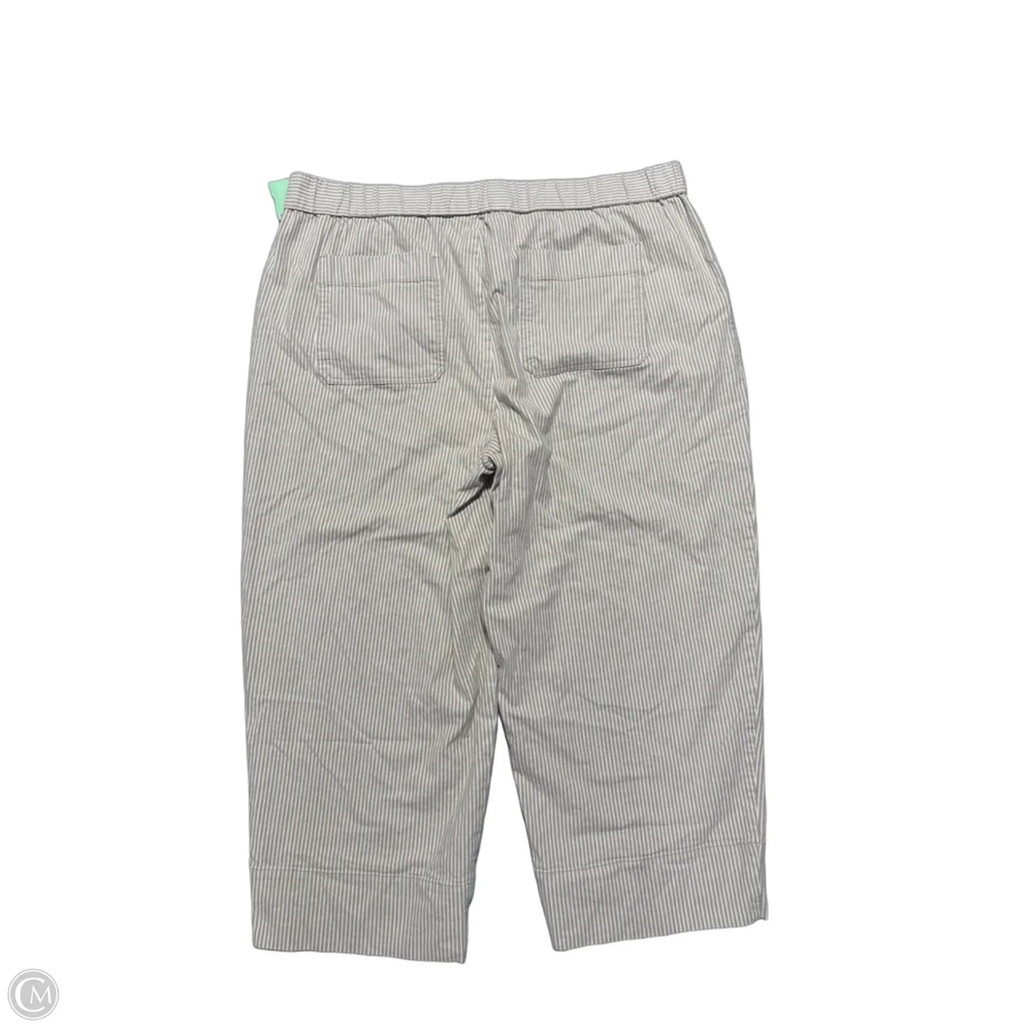 Pants Other By Talbots In Beige, Size: 2x