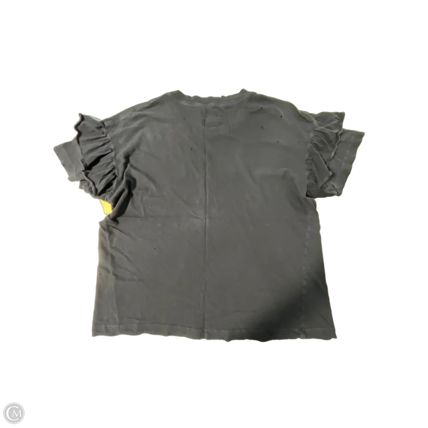 Top Short Sleeve By Curruit In Grey, Size: Xs