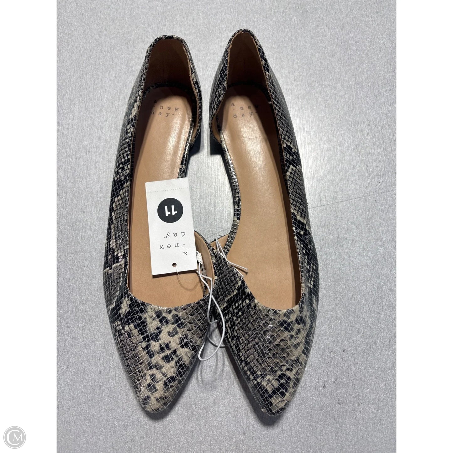 Shoes Heels Kitten By Cmc In Leopard Print, Size: 11.5