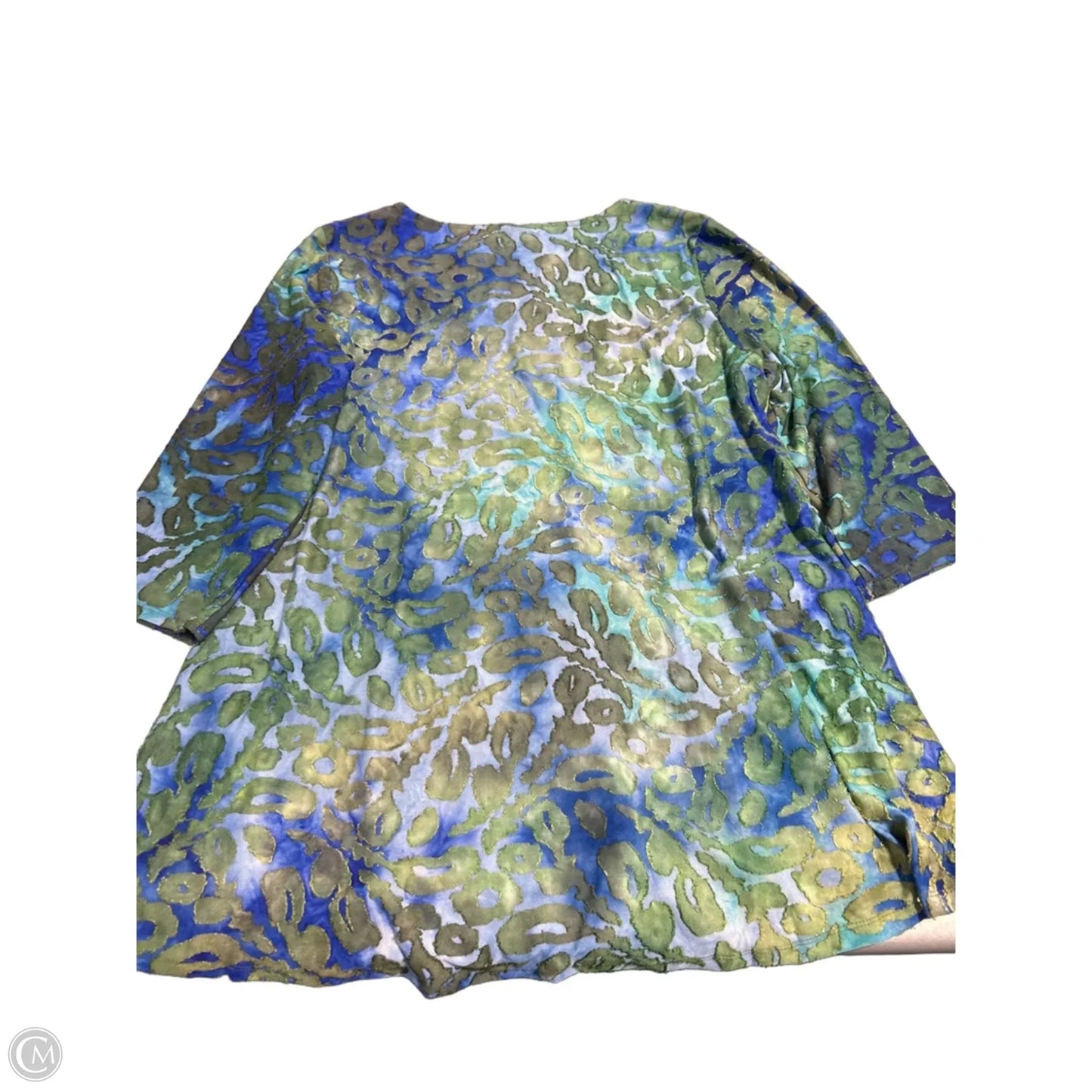 Top Long Sleeve By Nina Leonard In Blue & Green, Size: Xl