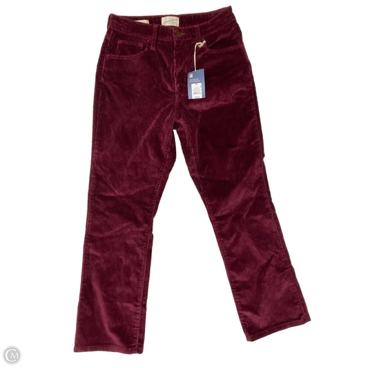 Pants Corduroy By Universal Thread In Maroon, Size: 8