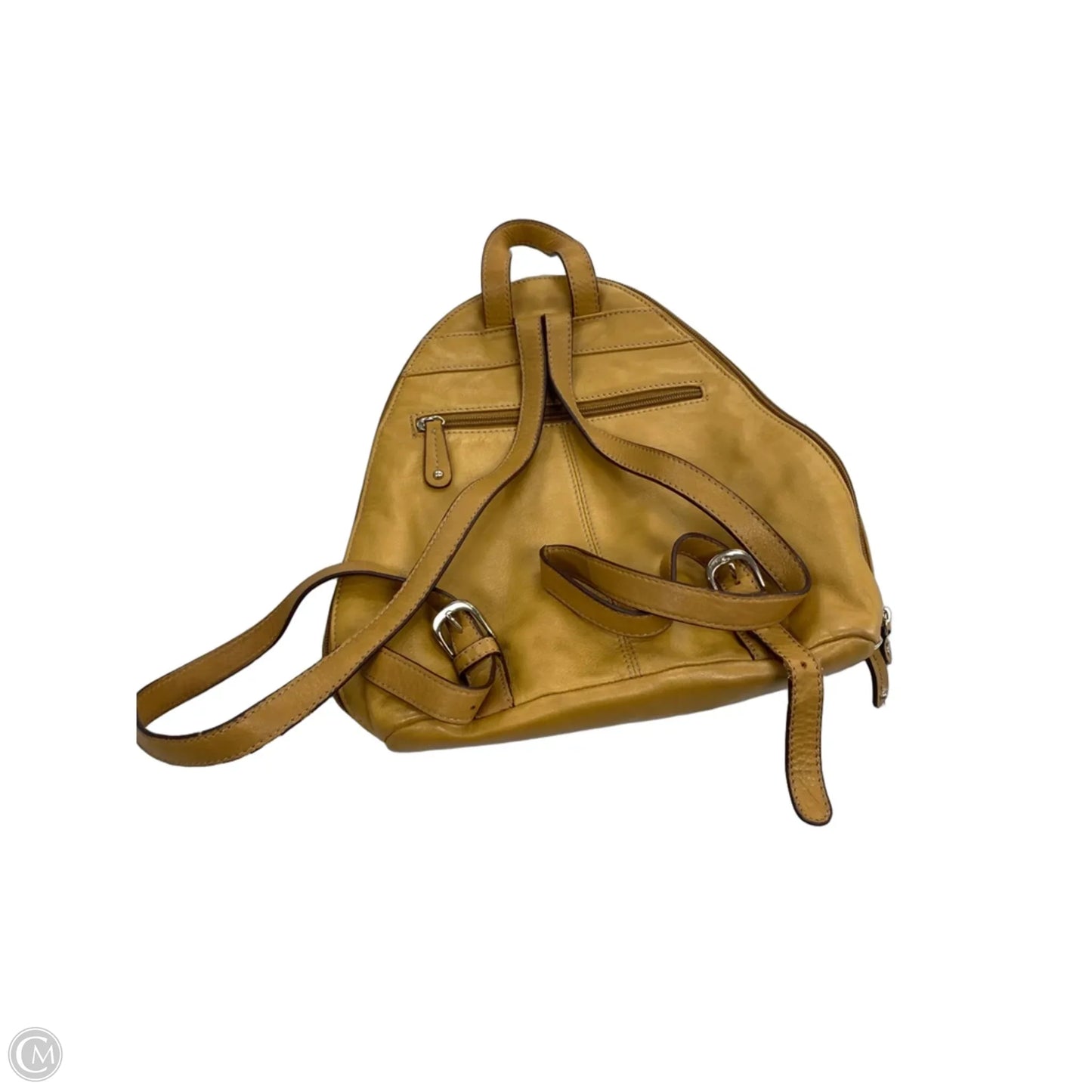 Backpack Leather By Tignanello  Purses, Size: Small