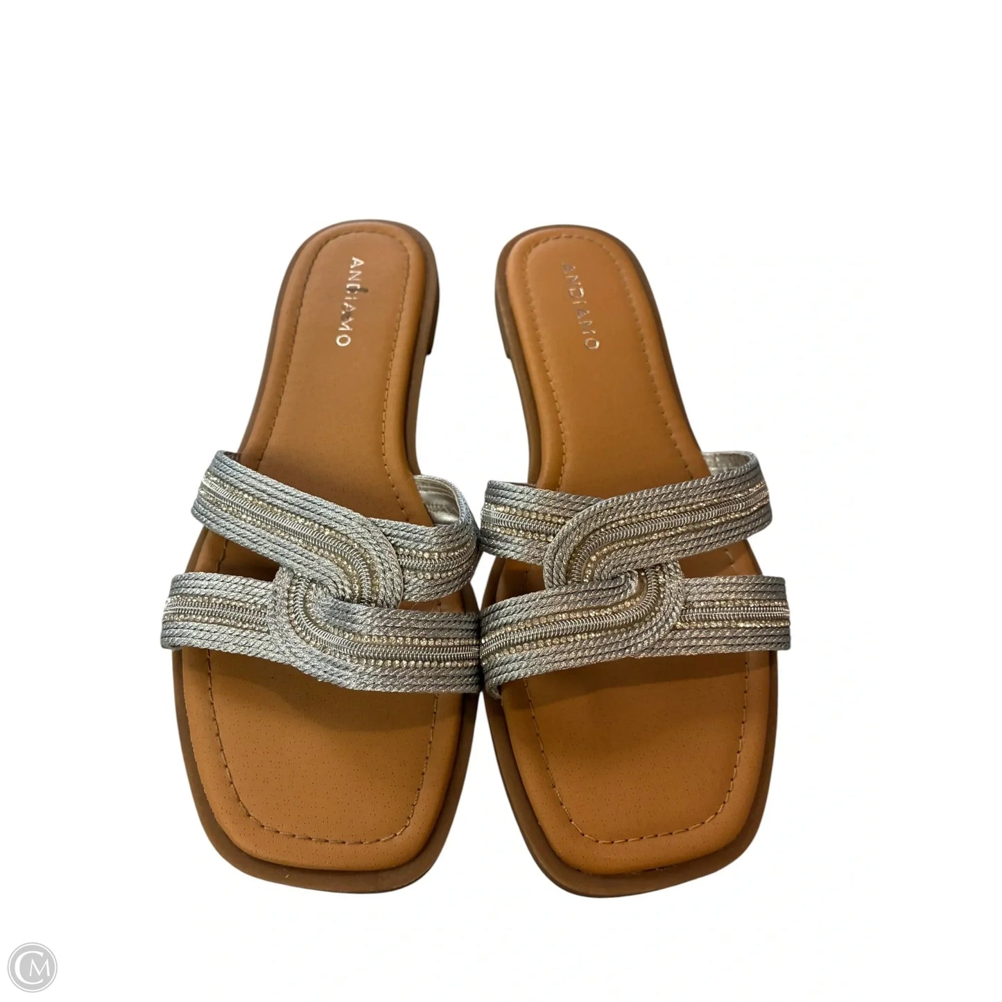 Sandals Flats By Andiano In Silver, Size: 10