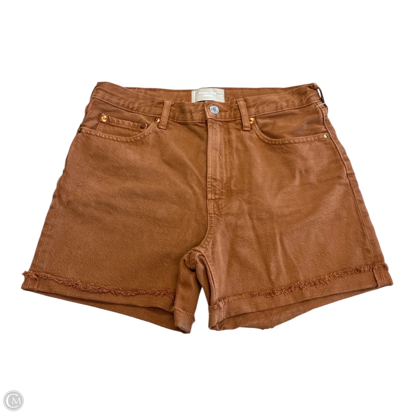 Shorts By Everlane In Brown, Size: 6