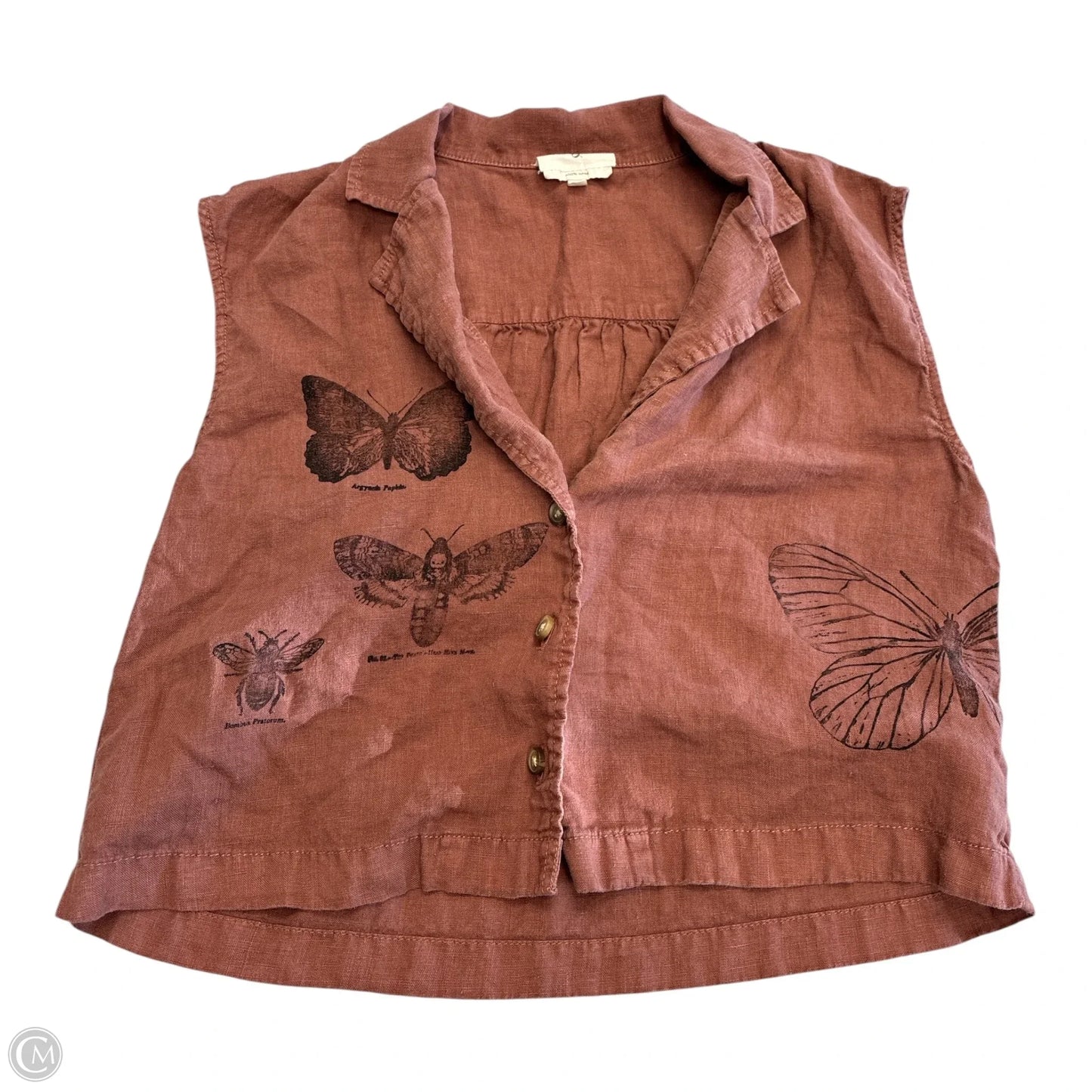 Top Short Sleeve By Lou And Grey In Brown, Size: Xs
