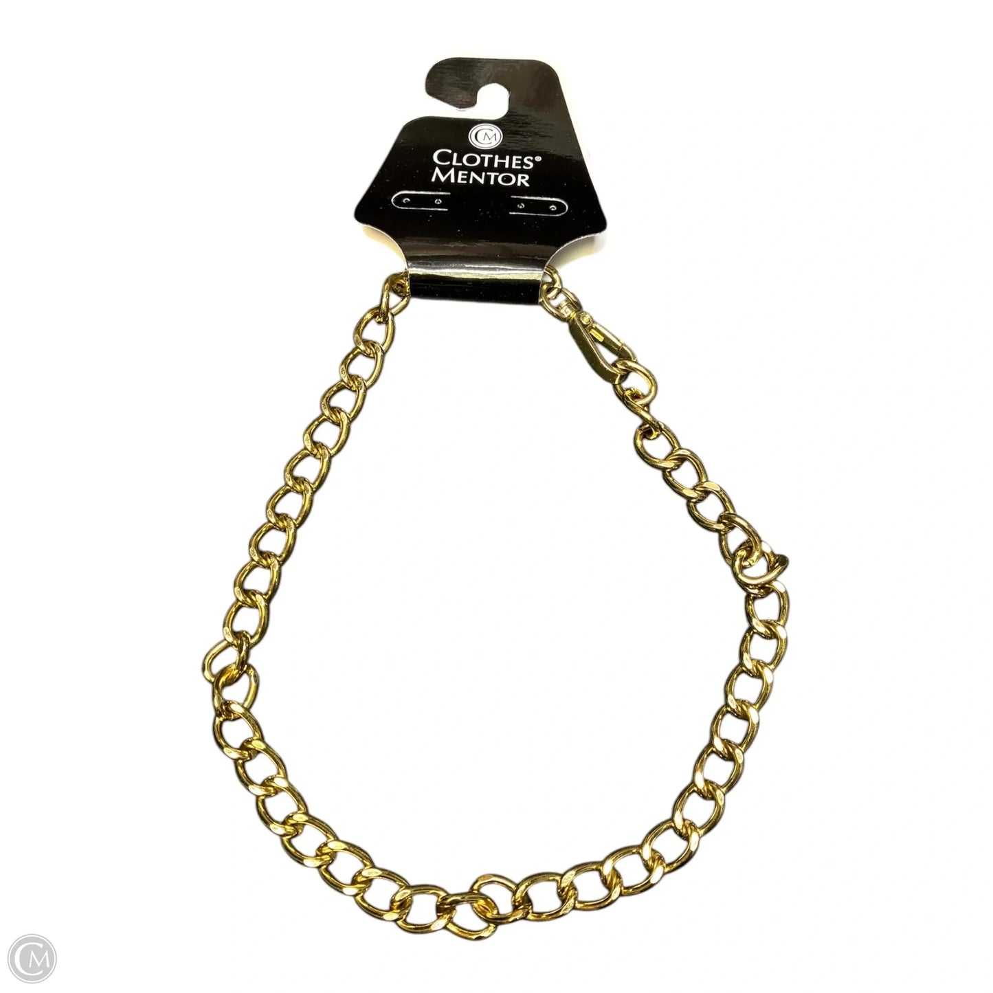 Necklace Chain By Clothes Mentor